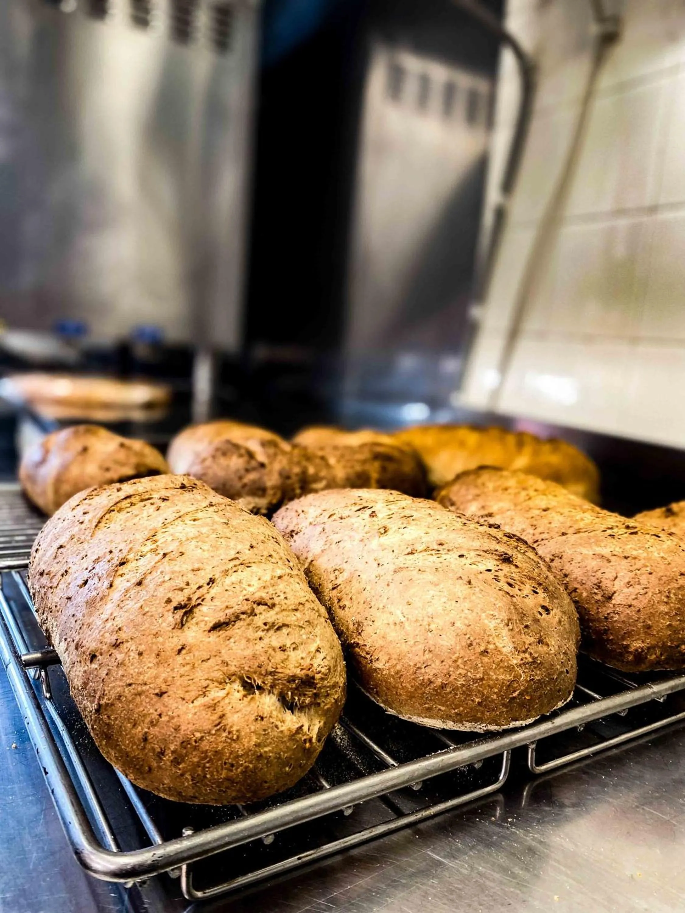 Restaurant/places to eat in LaChiusa Tuscany