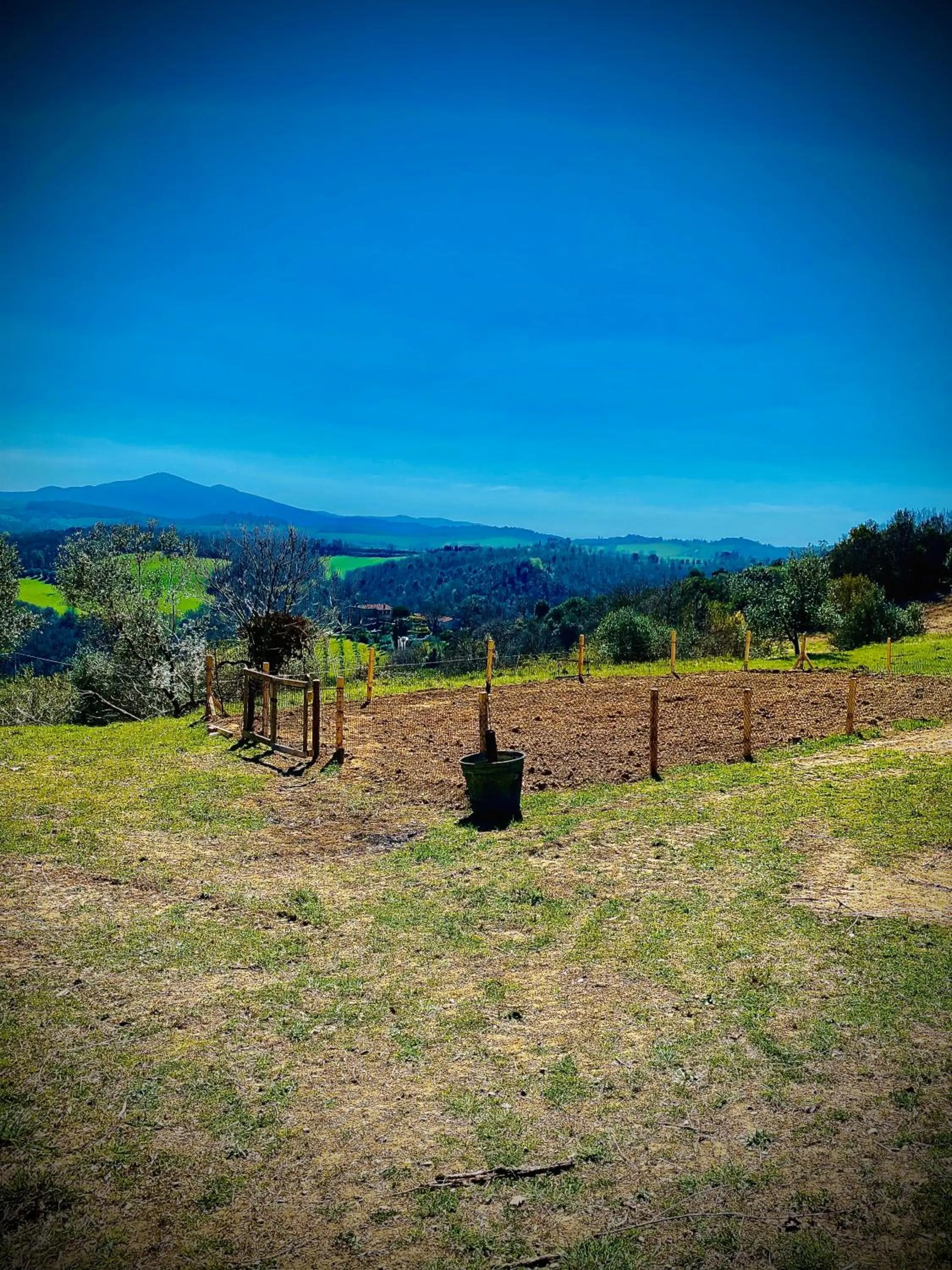 Garden in LaChiusa Tuscany