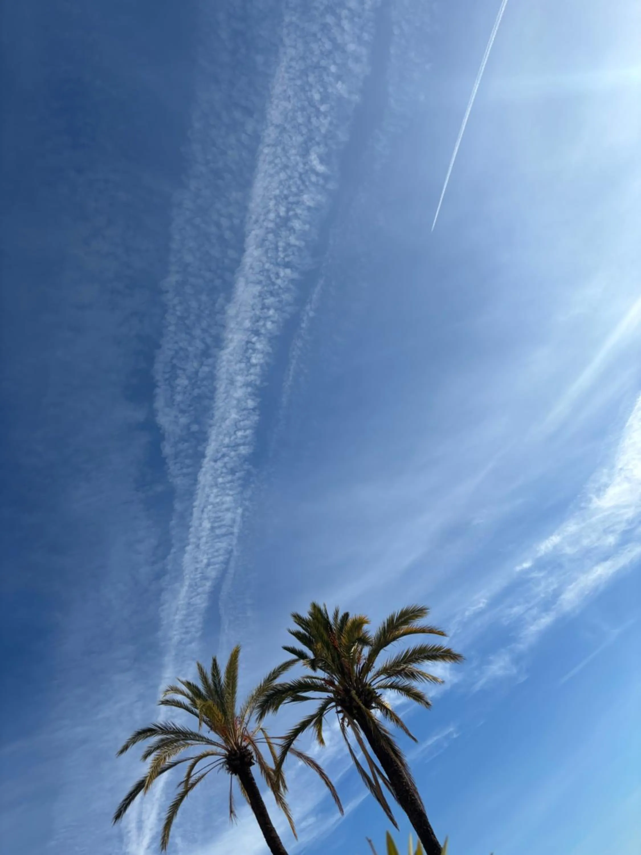 Hotel Vila Ružica- glavna zgrada i depandanse