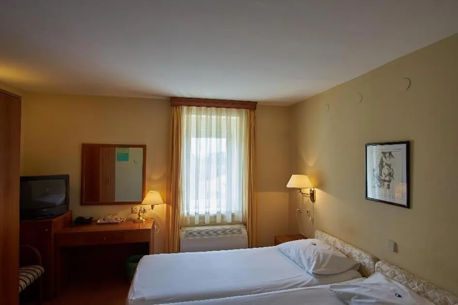 Bed in Hotel Vila Ružica- glavna zgrada i depandanse