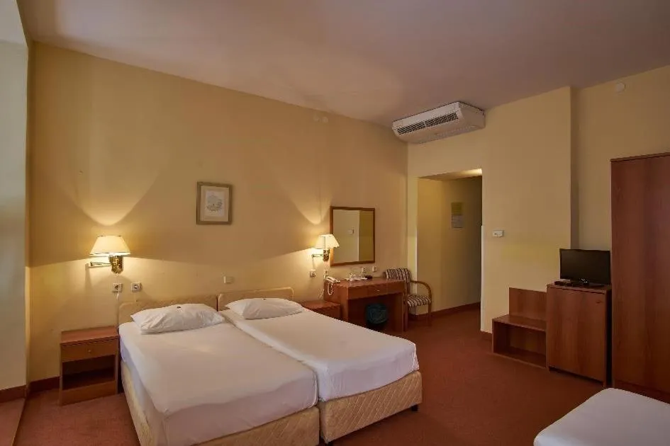 Bed in Hotel Vila Ružica- glavna zgrada i depandanse