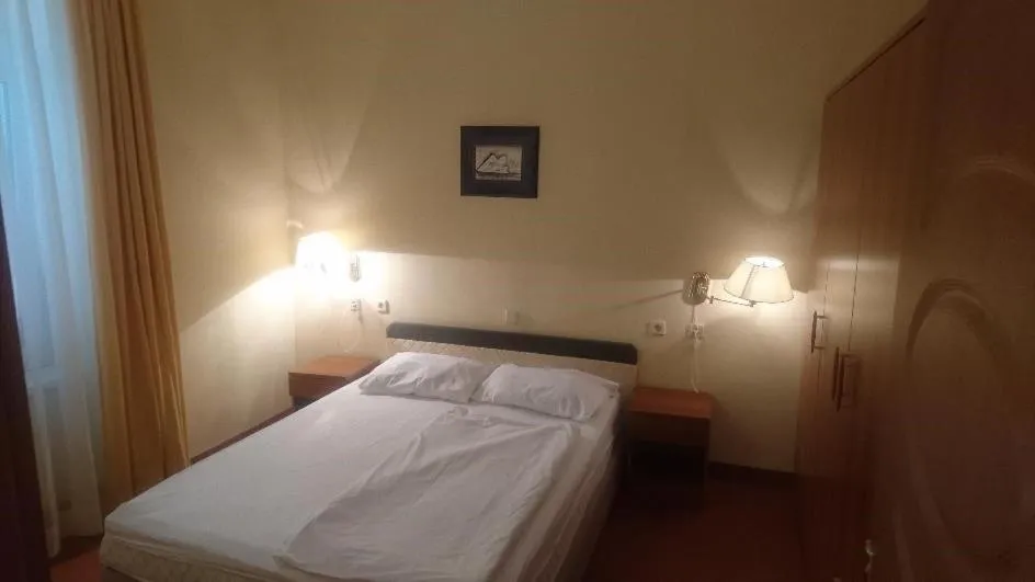 Bed in Hotel Vila Ružica- glavna zgrada i depandanse