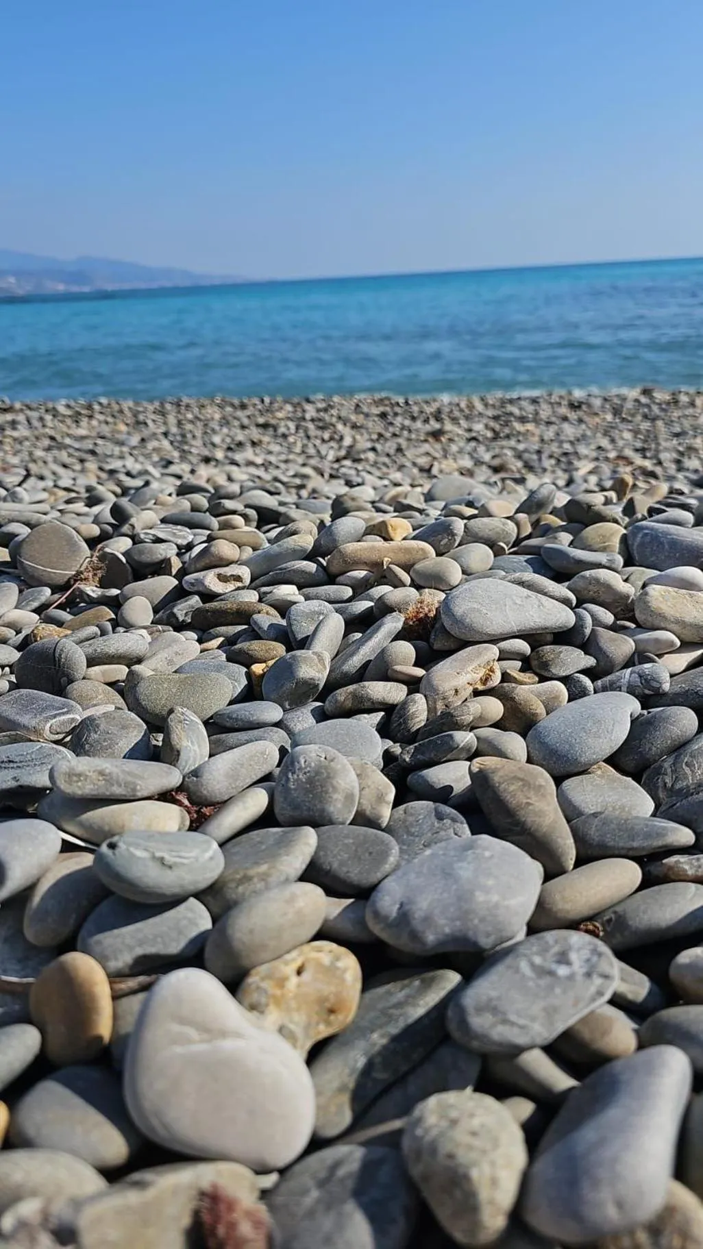 Hotel Vila Ružica- glavna zgrada i depandanse