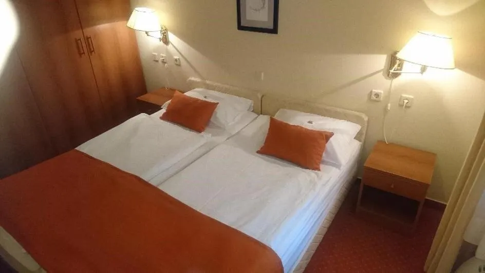 Bed in Hotel Vila Ružica- glavna zgrada i depandanse