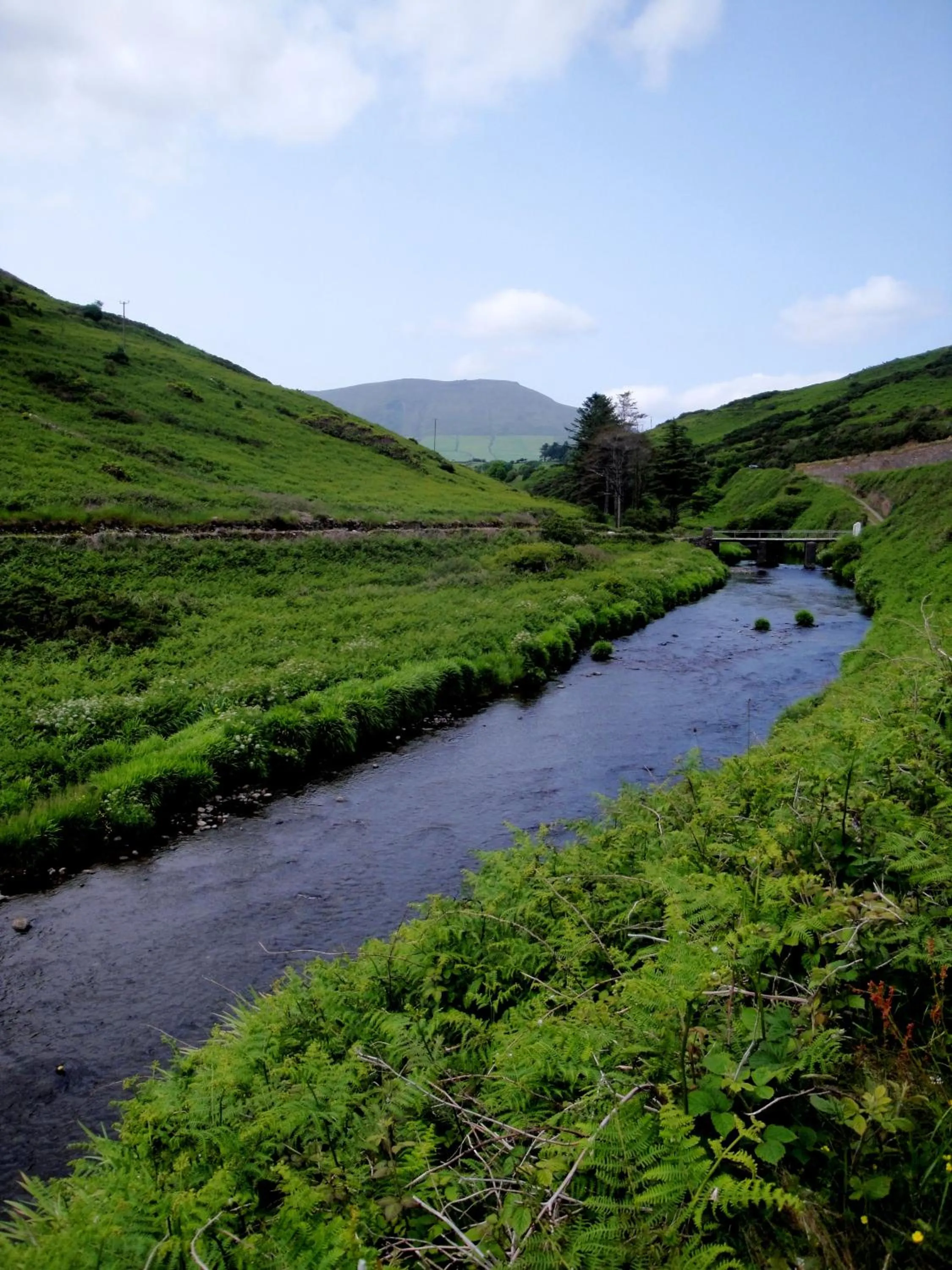 Natural landscape in Ardrinane House