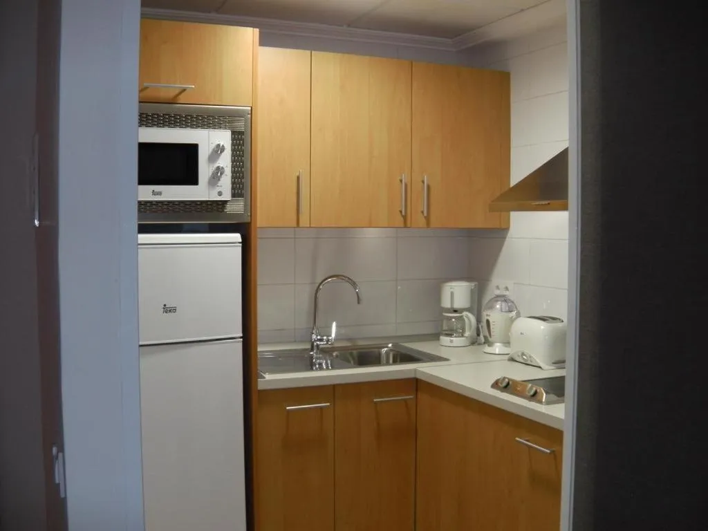 Kitchen or kitchenette in Hotel Alfonso