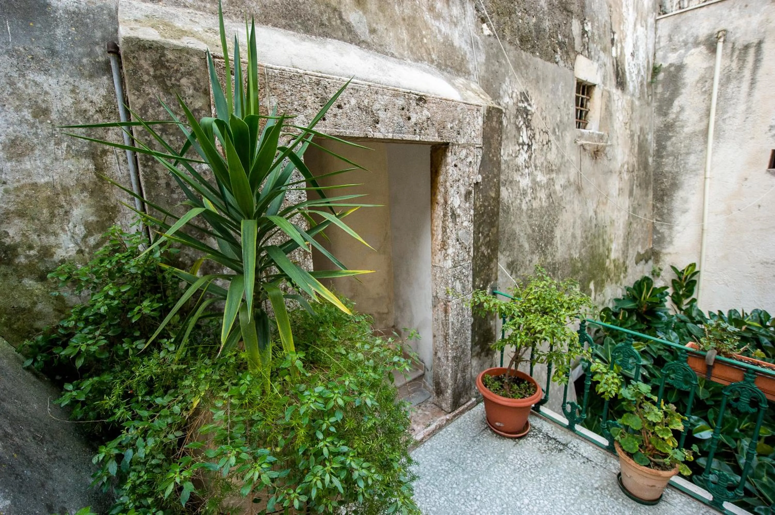 Decorative detail, Property Building in Hotel Miramare