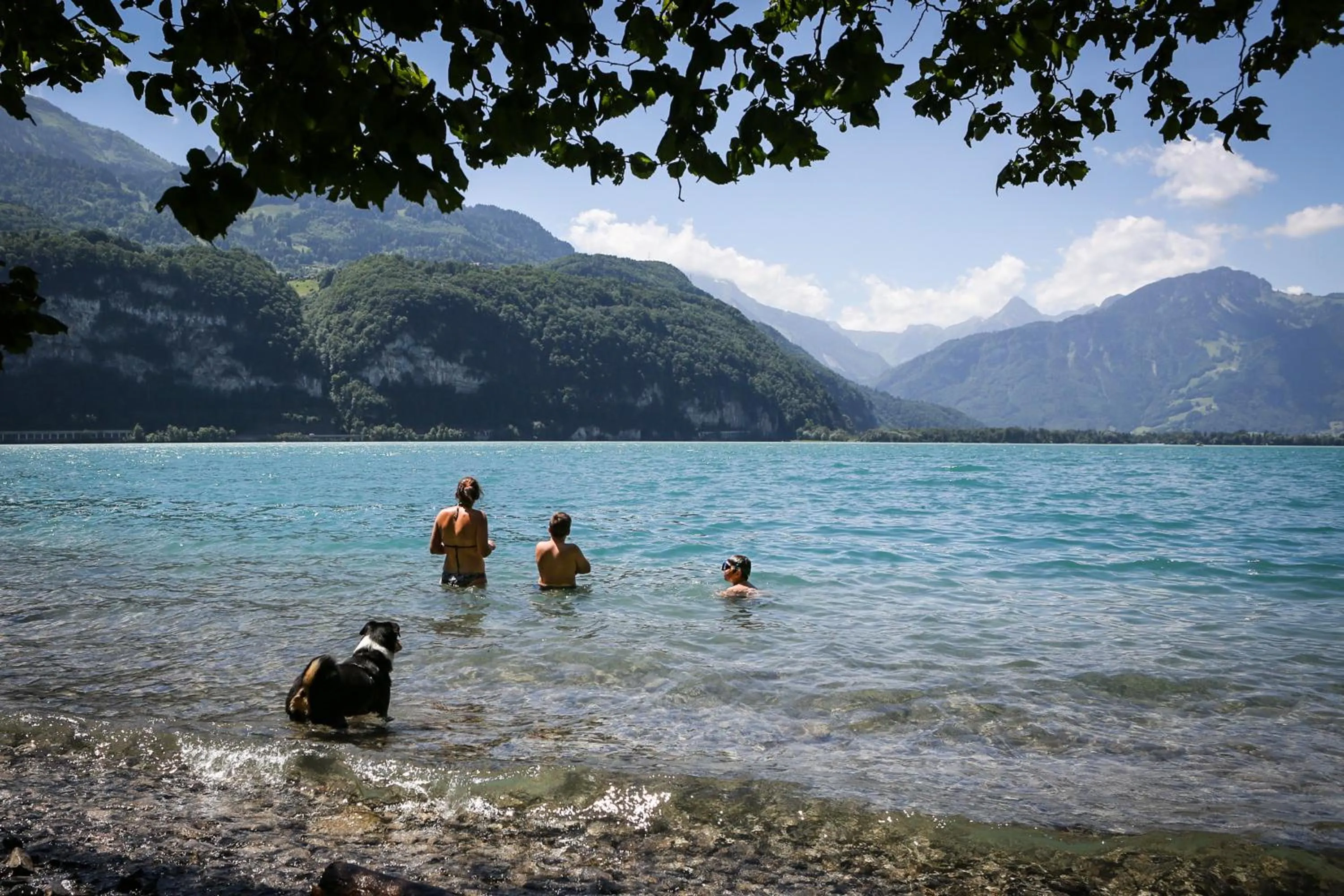 Area and facilities in Parkhotel Schwert