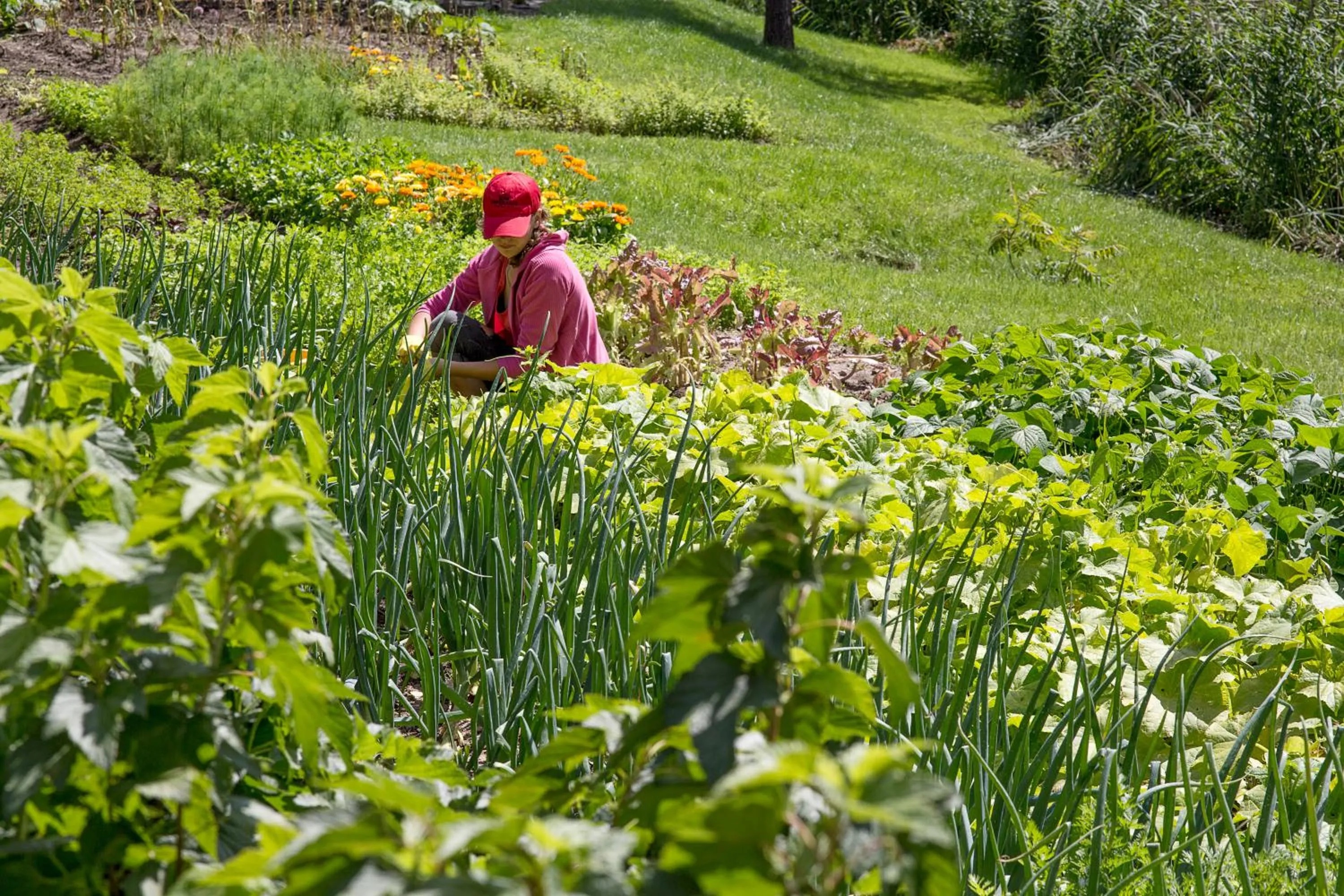 People in Esperanza Resort & SPA
