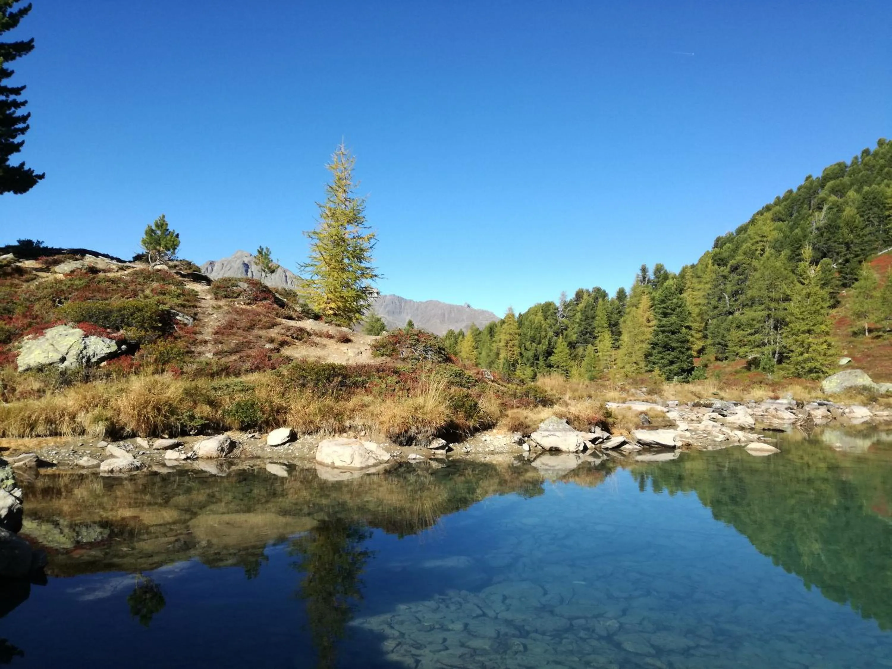 Natural landscape in Hotel Garni Apart TINA