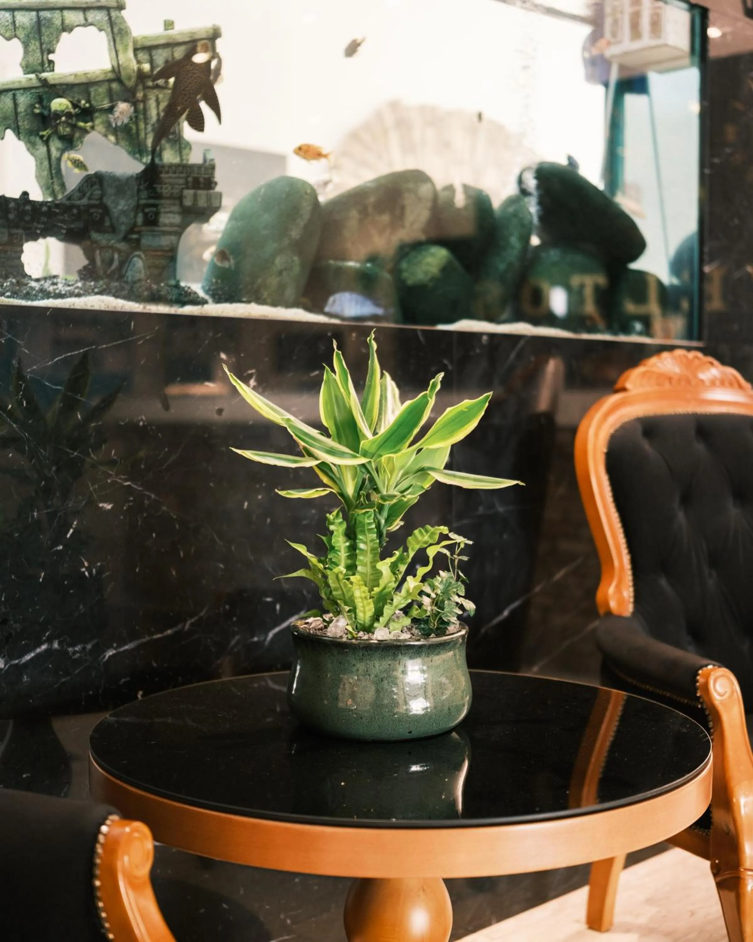 Decorative detail in Sveltos Hotel