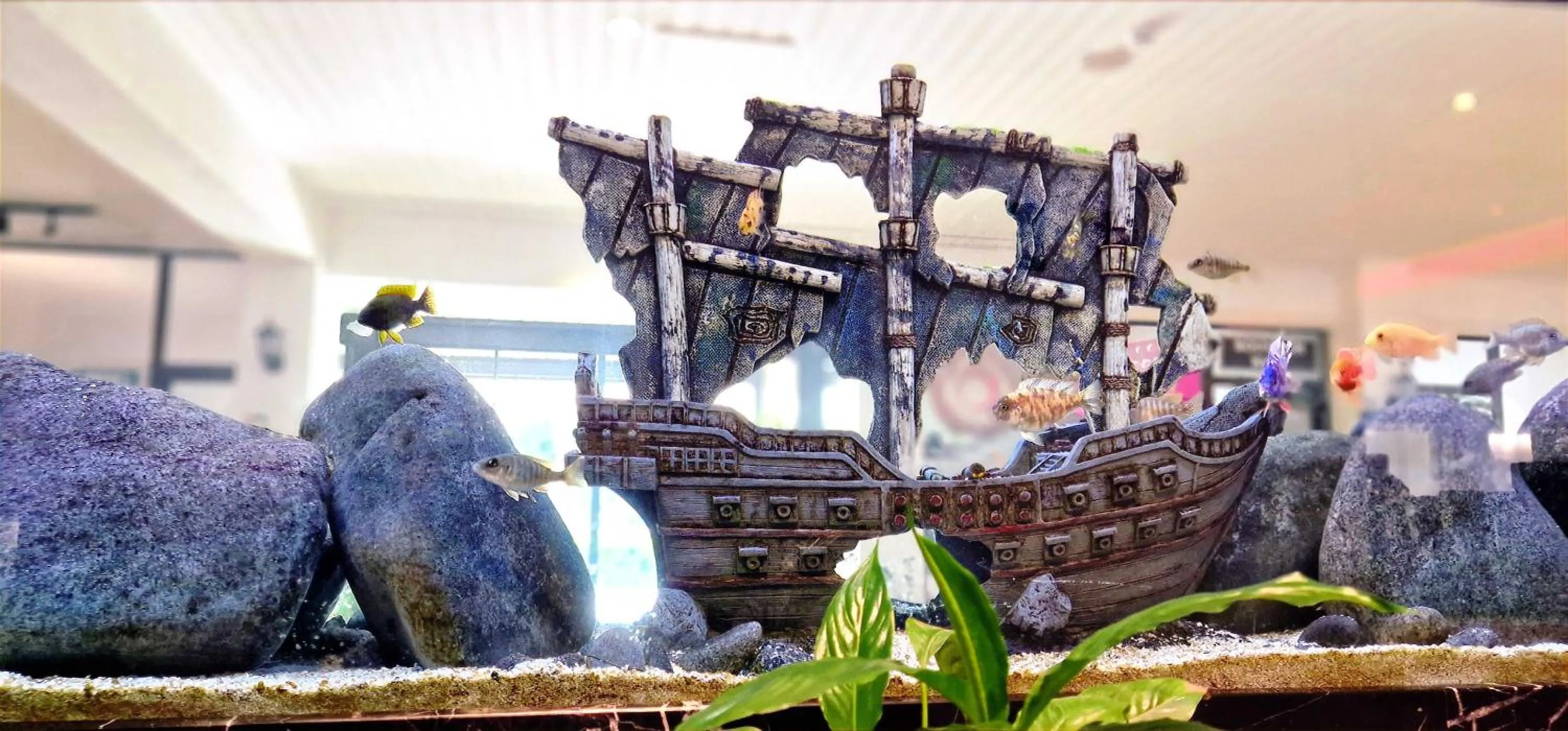 Decorative detail in Sveltos Hotel