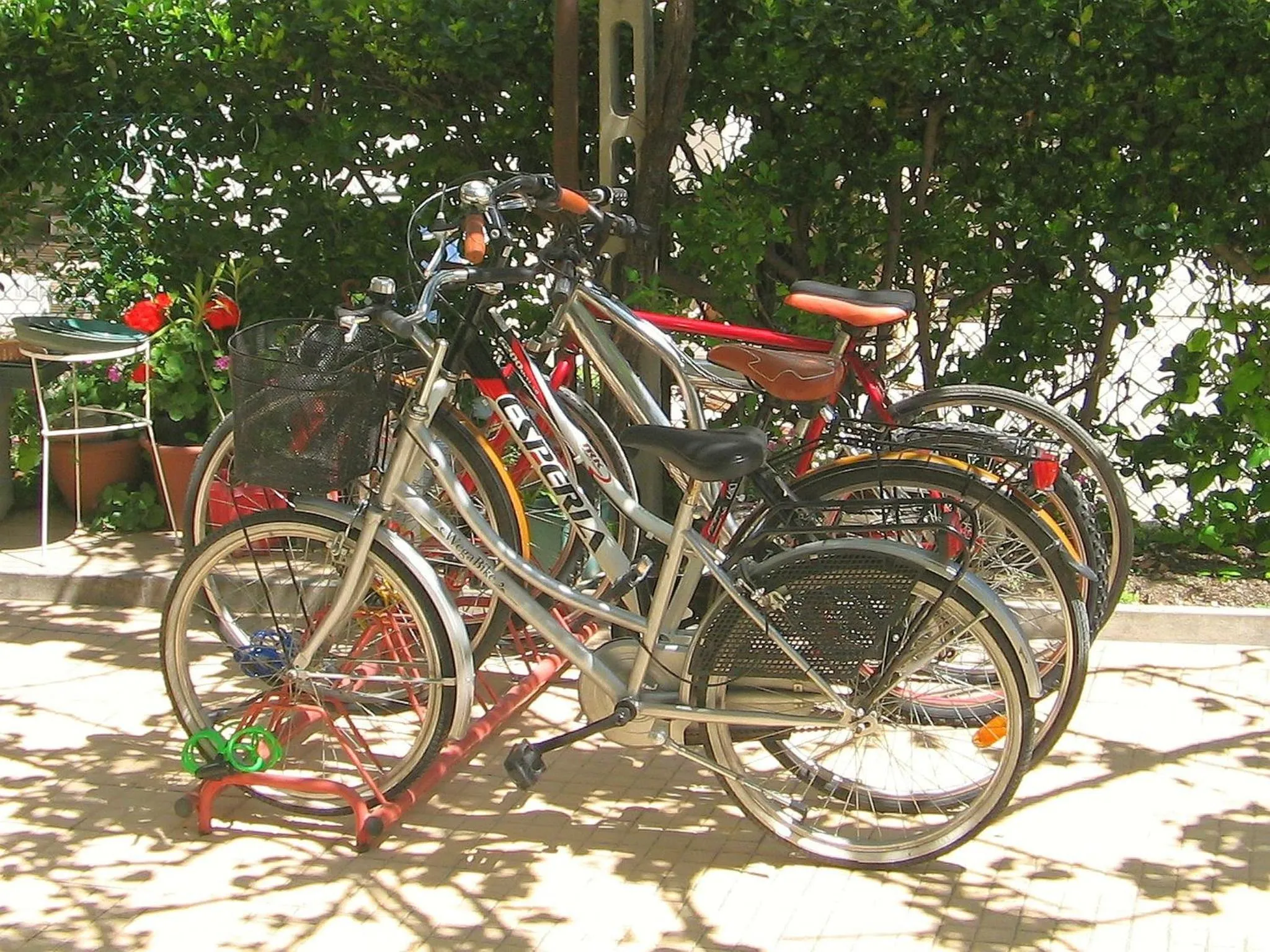 Garden in Villa Lauda B&B