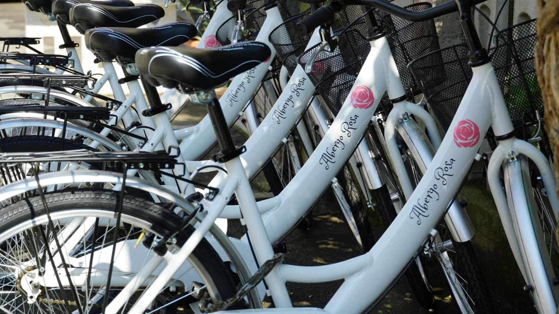 Area and facilities in Hotel Rosa Caorle