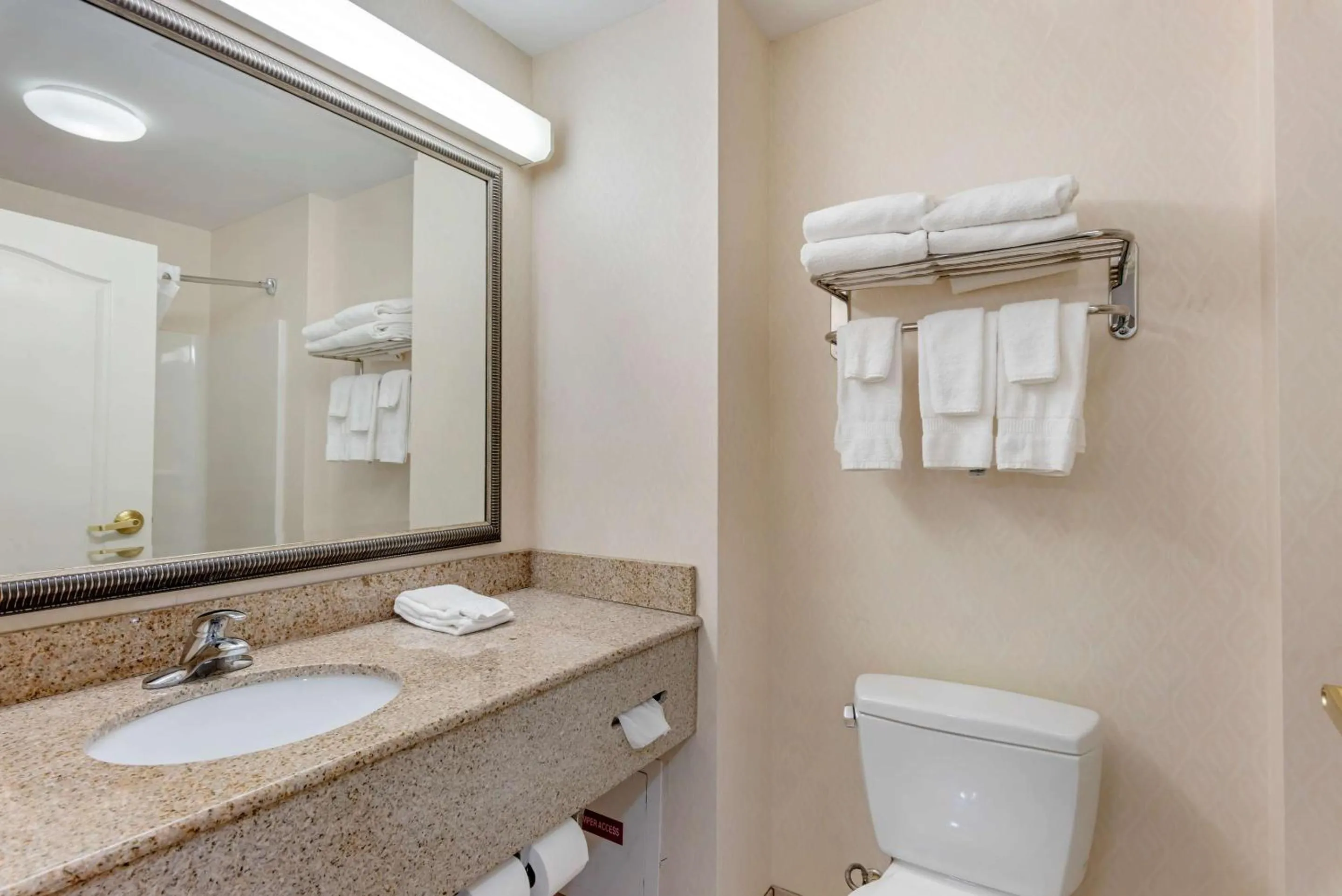 Bedroom in Comfort Inn & Suites Dover near Speedway