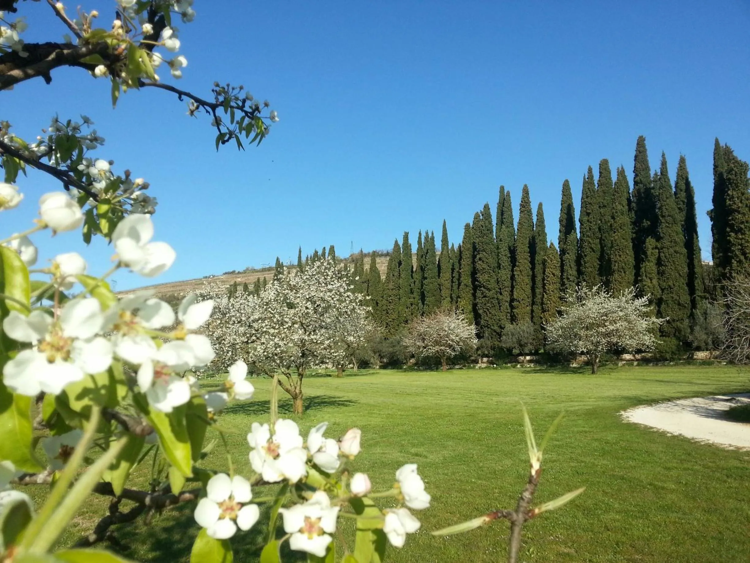 Garden in La Foresteria Serego Alighieri
