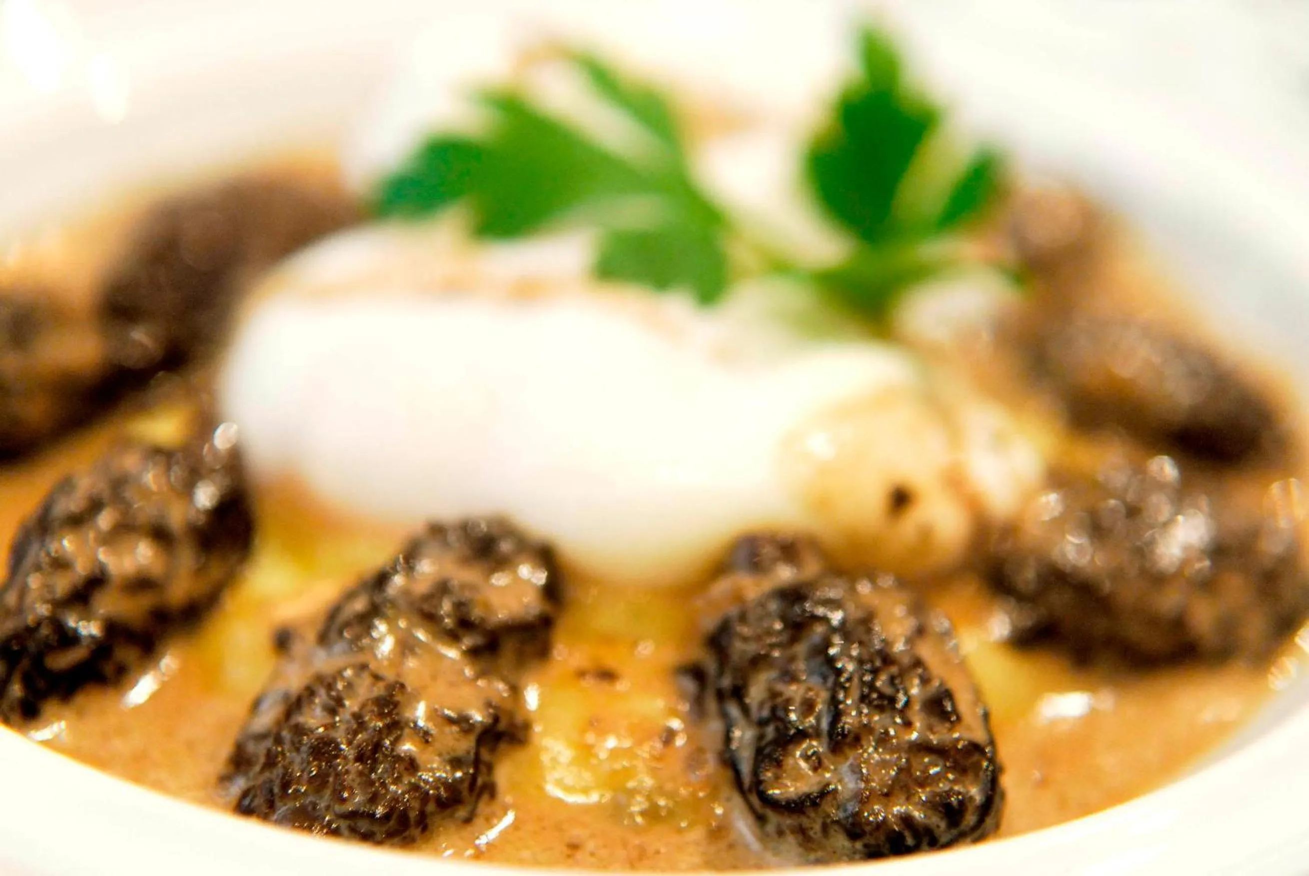 Restaurant/places to eat in Logis Hôtel - Restaurant Maison Claude Darroze