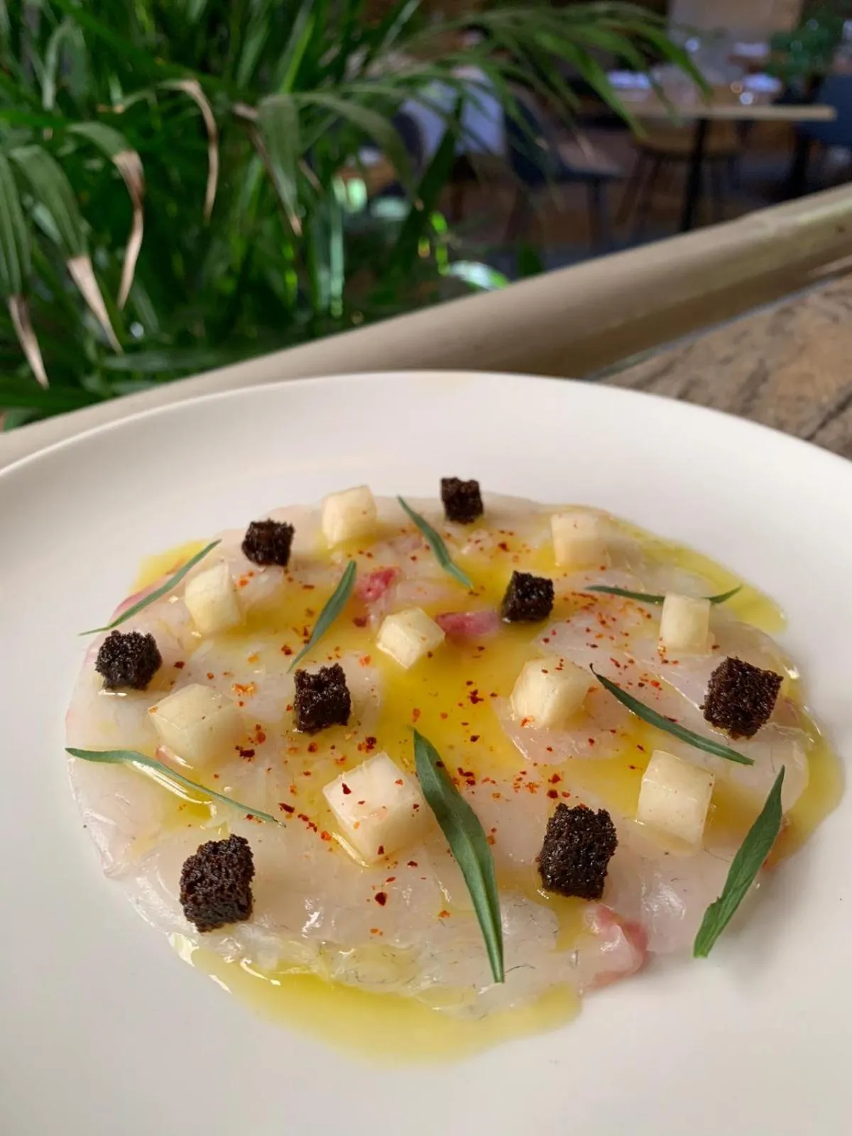 Lunch in Logis Hôtel - Restaurant Maison Claude Darroze