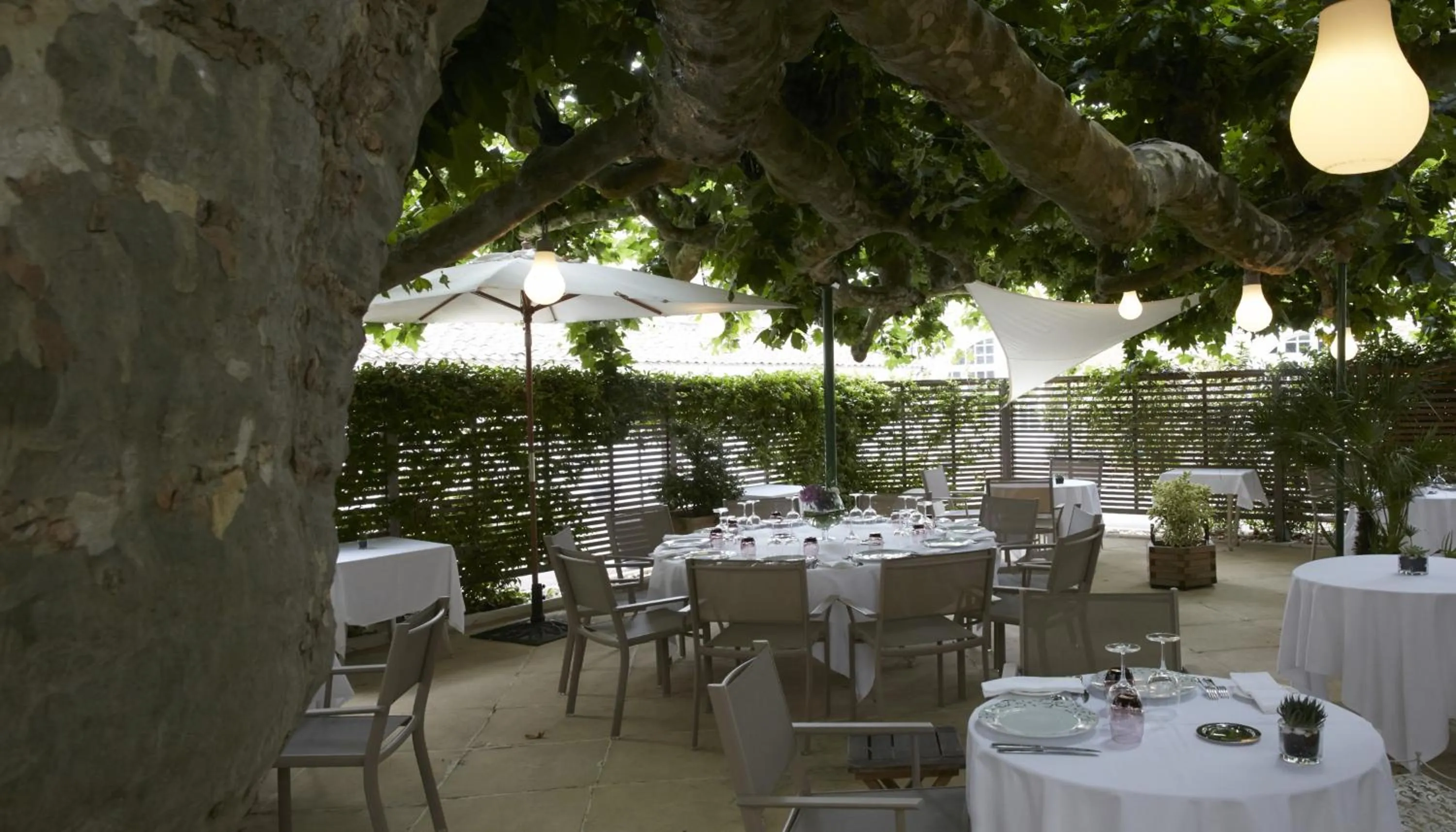 Patio in Logis Hôtel - Restaurant Maison Claude Darroze