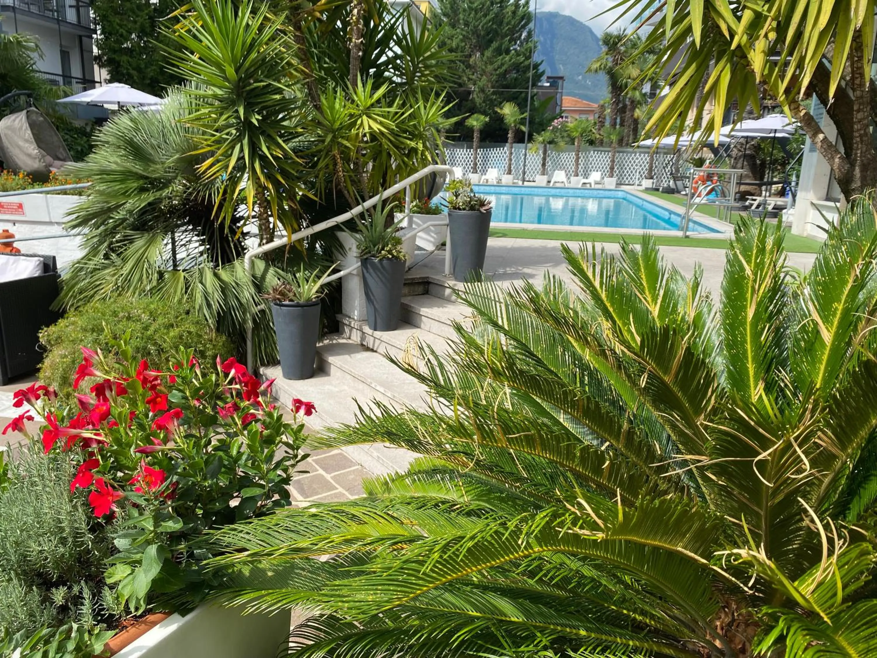 Swimming pool in Hotel La Perla