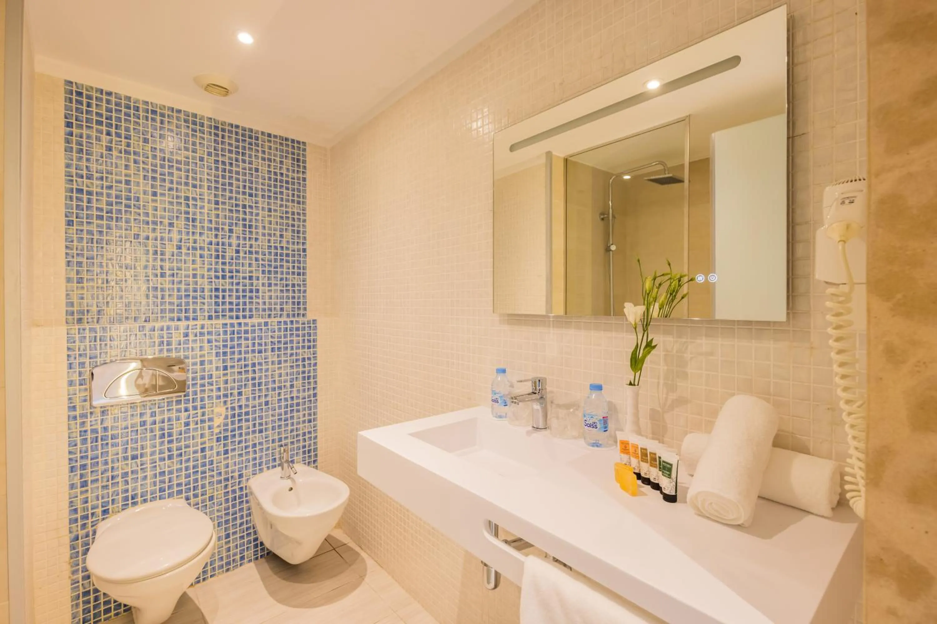 Toilet in Kenzi Solazur