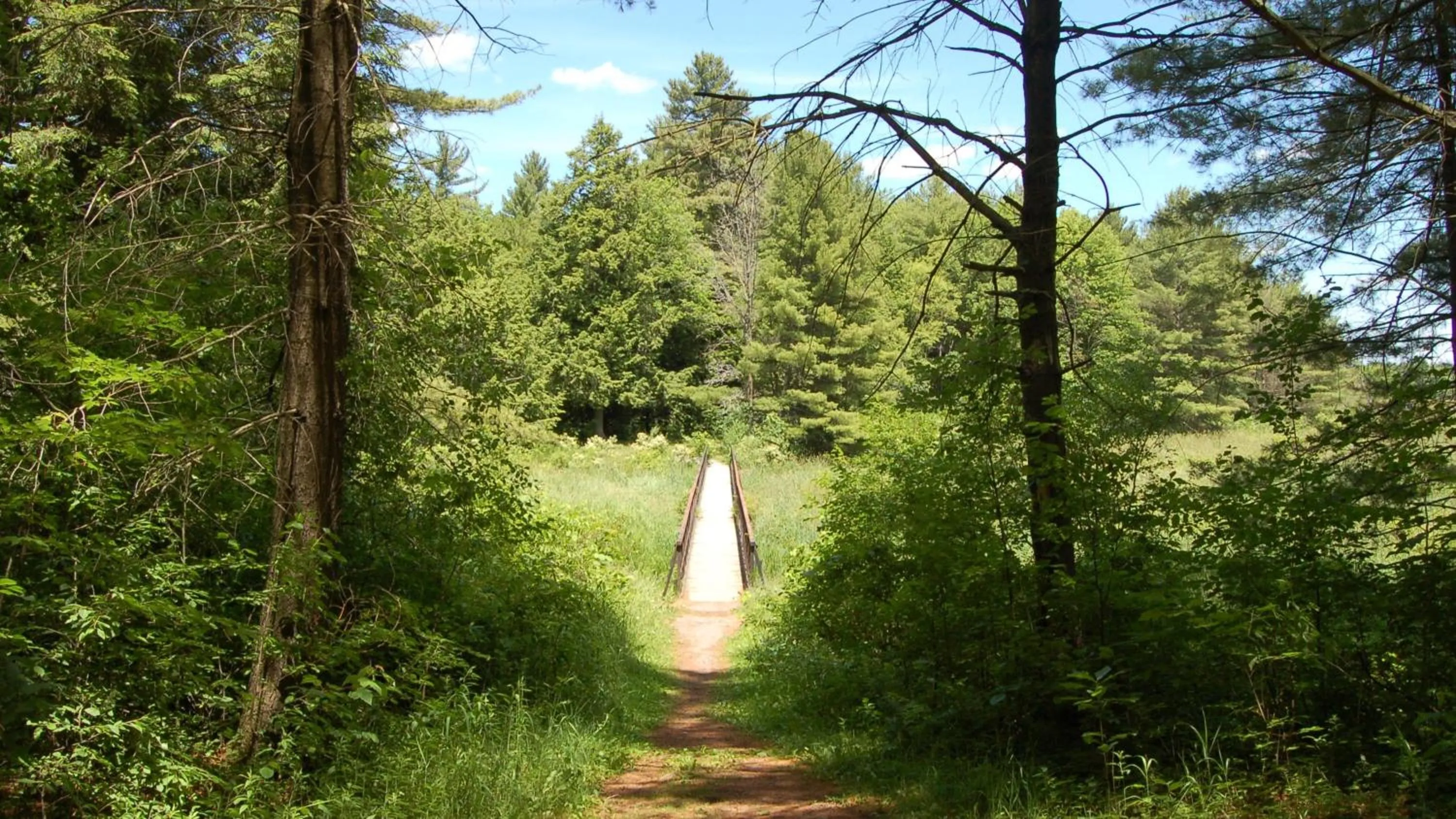 Area and facilities in Holiday Inn Express Kingston Central by IHG