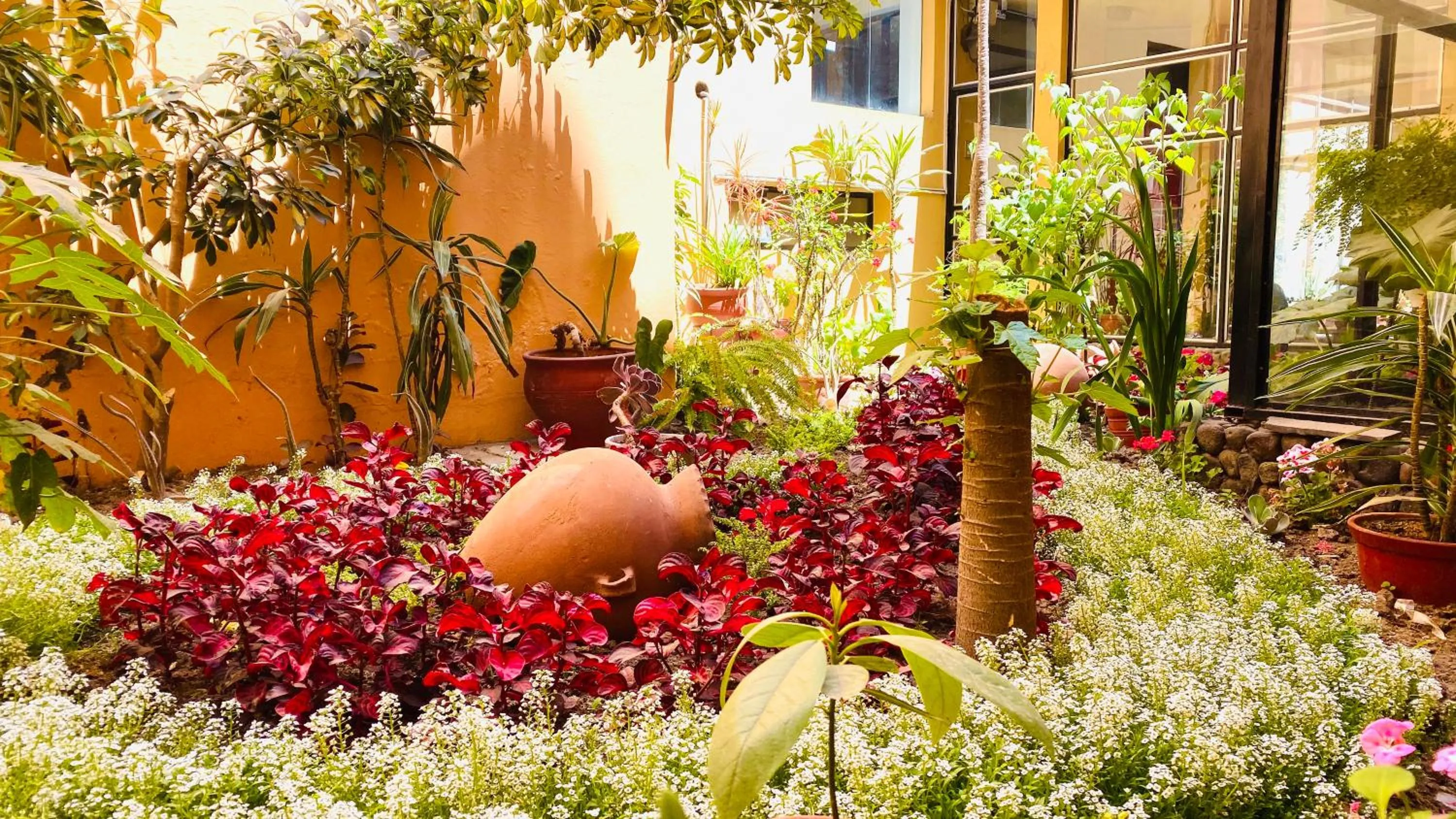 Garden in Arequipa Inn