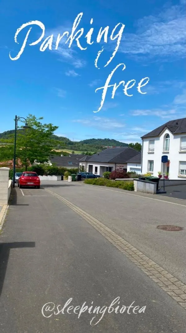 Neighbourhood in Sleeping Bio Tea