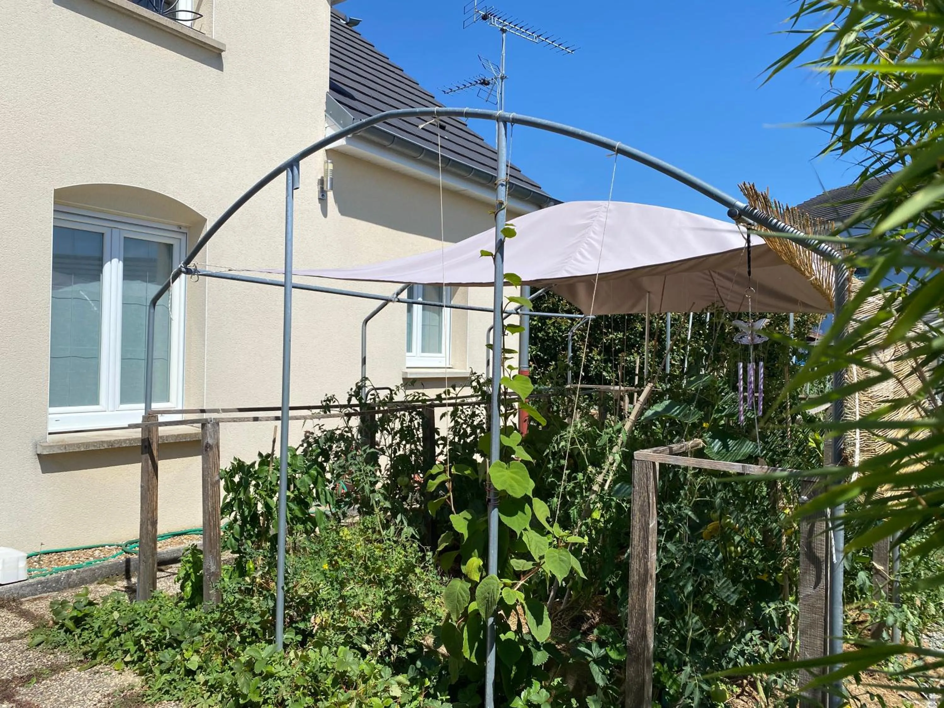 Garden view in Sleeping Bio Tea