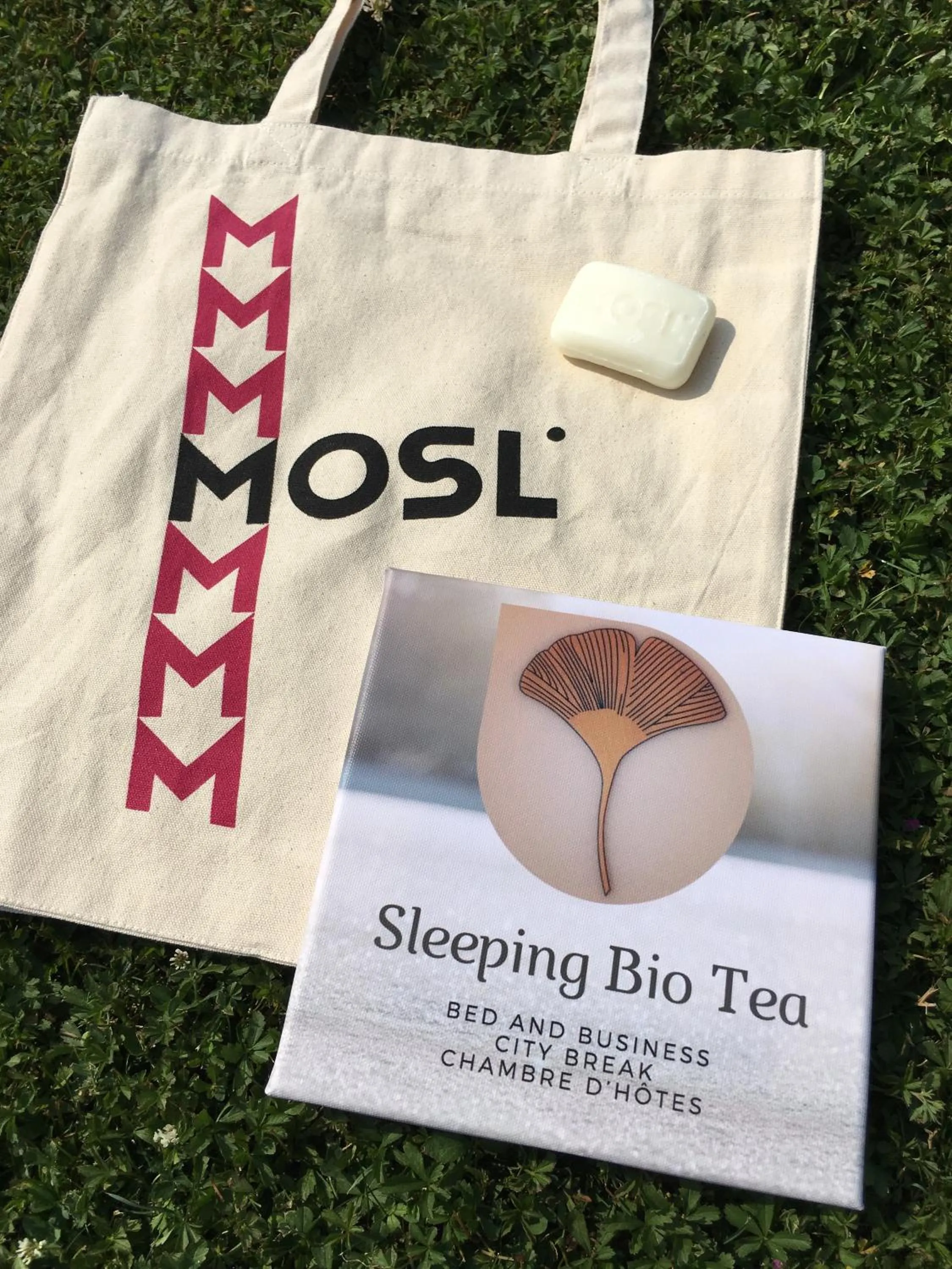 Property logo or sign in Sleeping Bio Tea