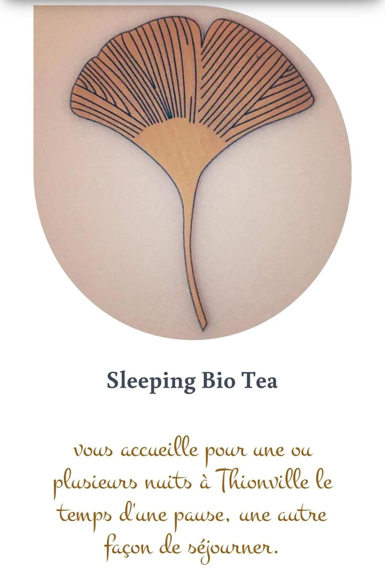 Property logo or sign in Sleeping Bio Tea