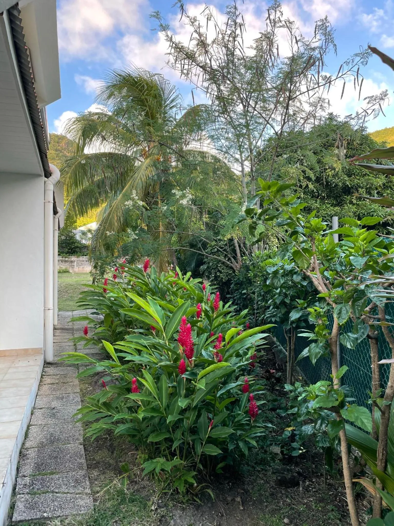 Garden in Résidence Sucrerie Motel - Les Anses-d'Arlets - Martinique