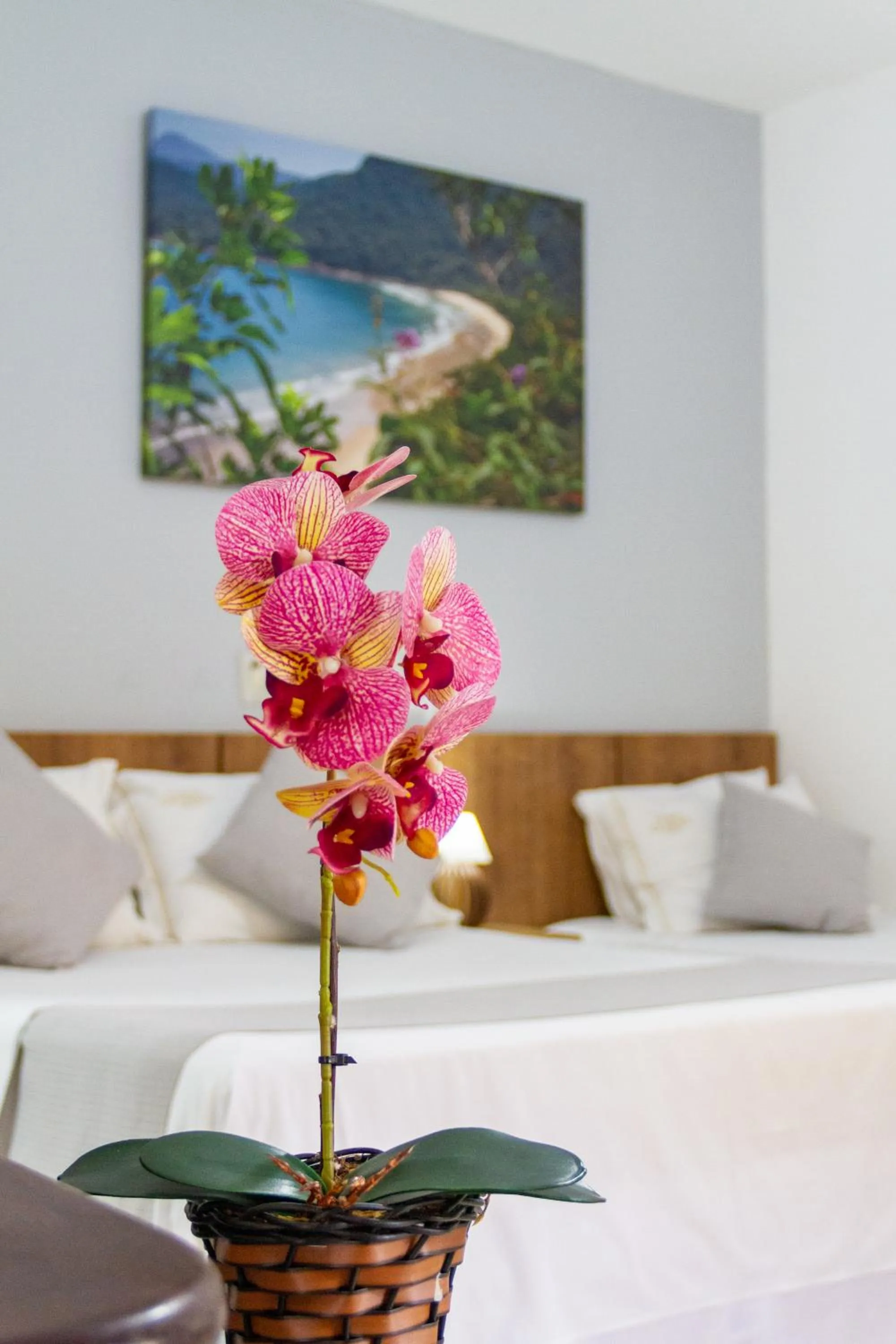 Toilet in Pousada Cicerone - Portal das Artes - Com Gerador de Energia