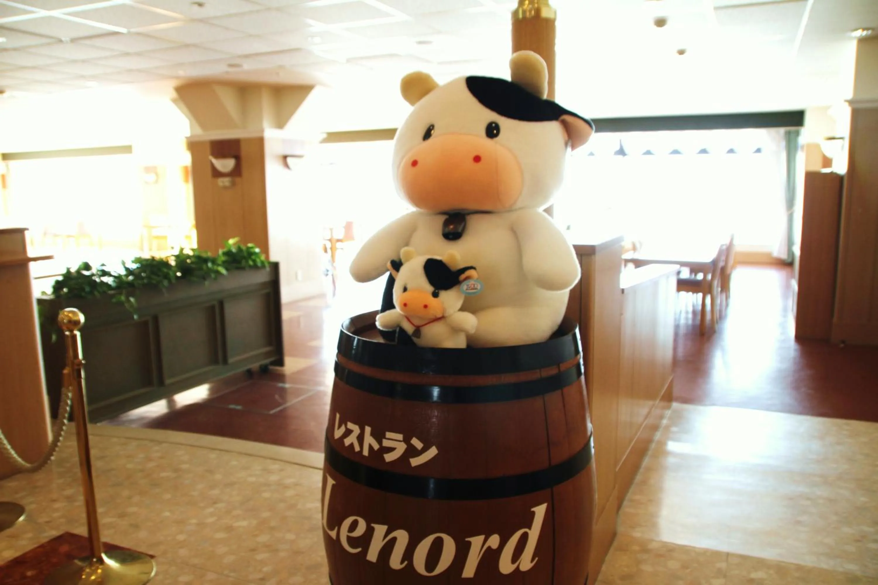 Restaurant/places to eat in Furano La Terre