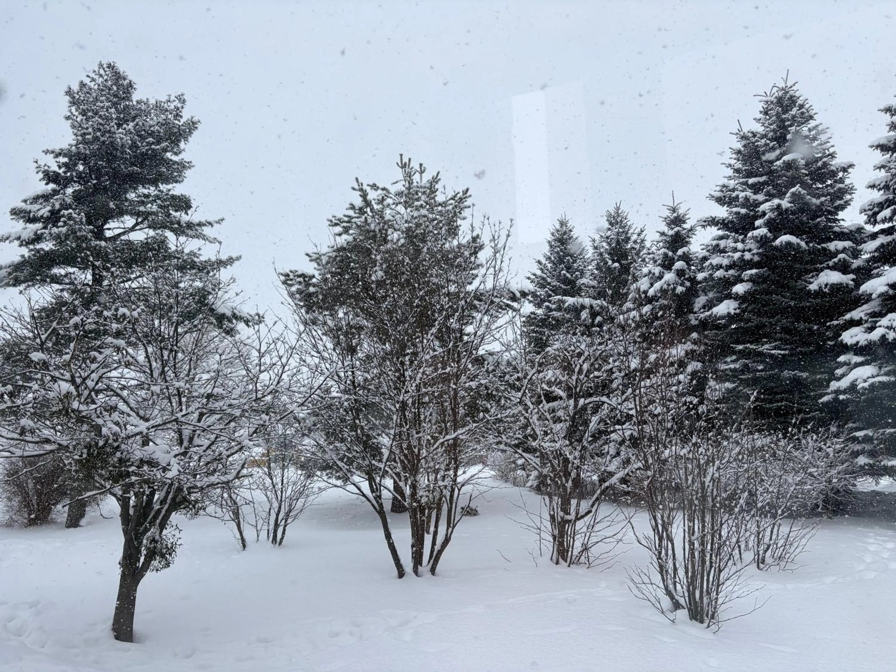 Winter in Furano La Terre