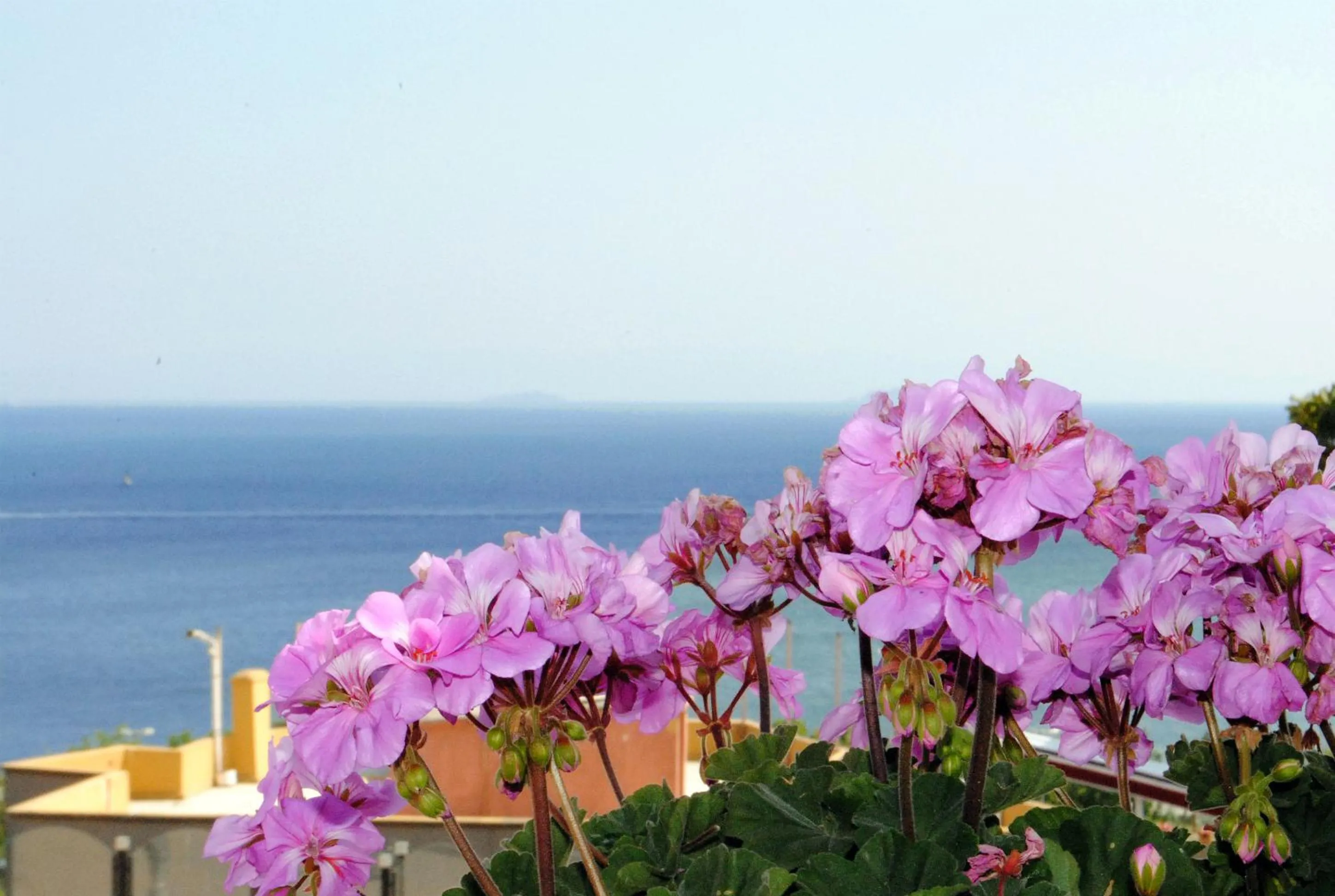 Day in Hotel Buhara Family Inn