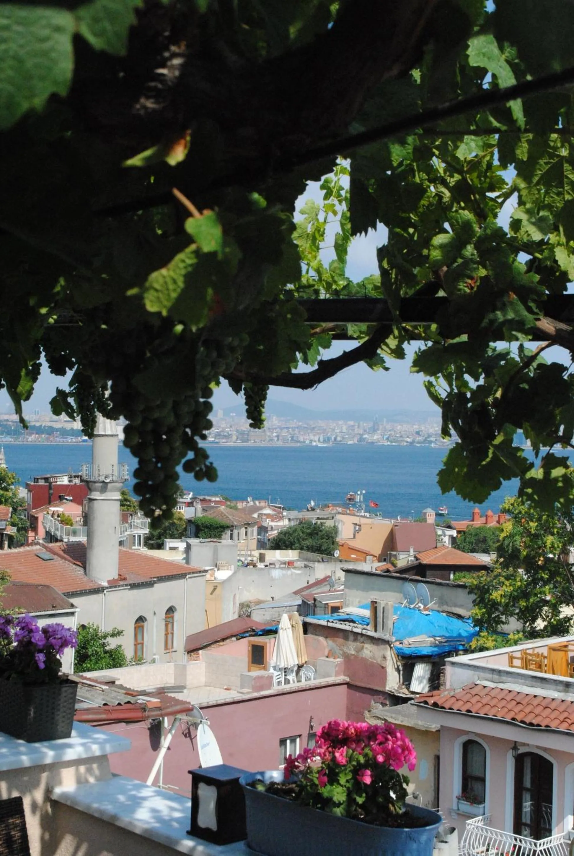 Day in Hotel Buhara Family Inn