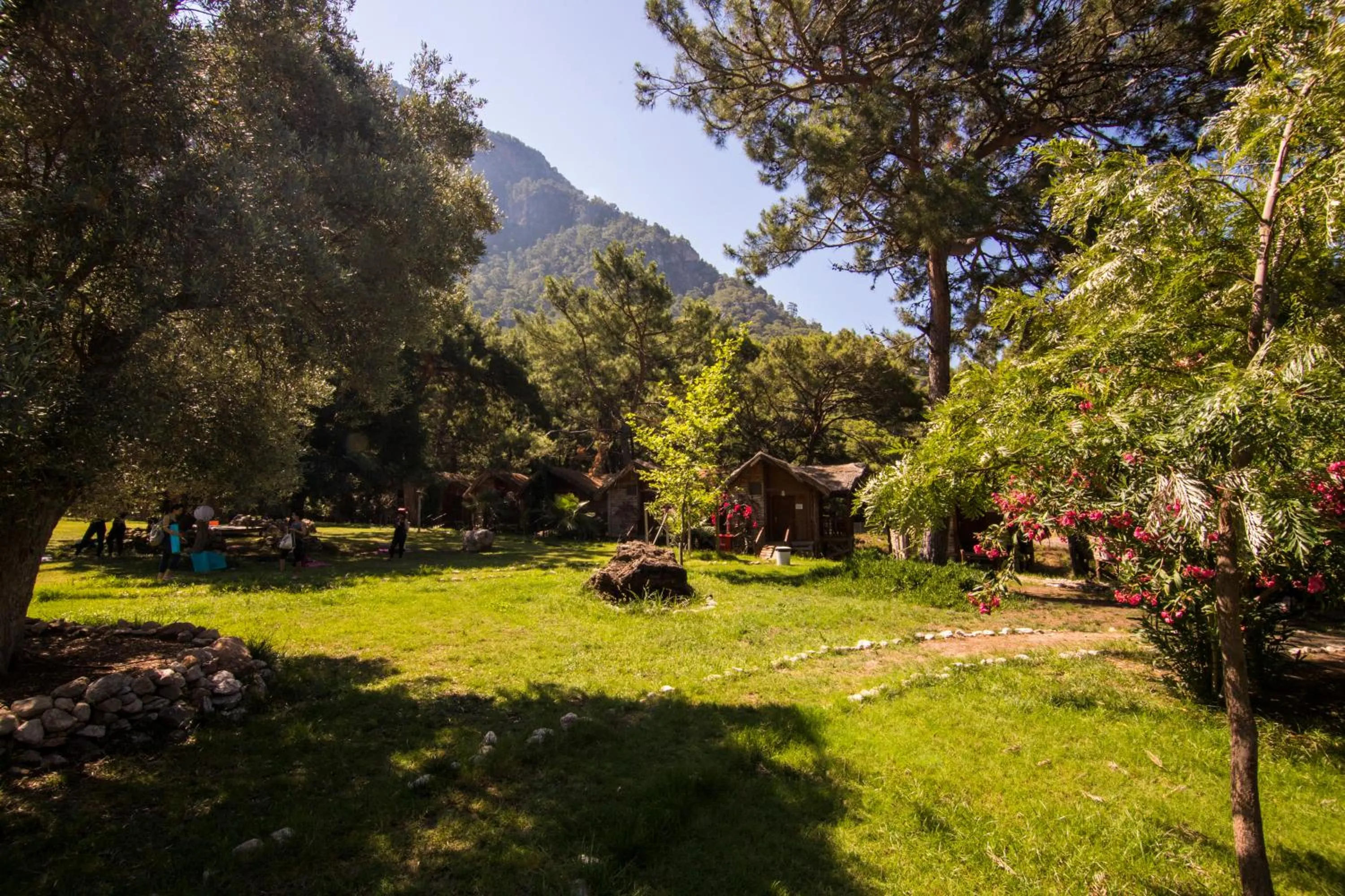 Garden in Sea Valley Lodge