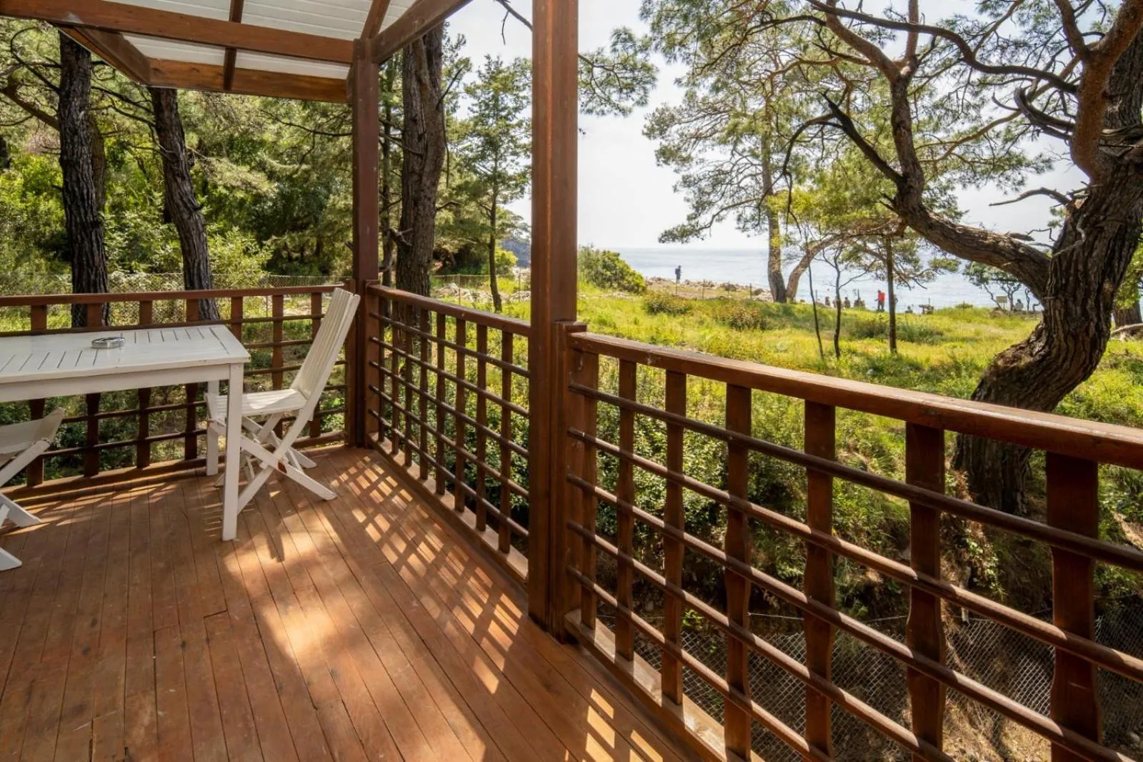 Spring in Sea Valley Lodge