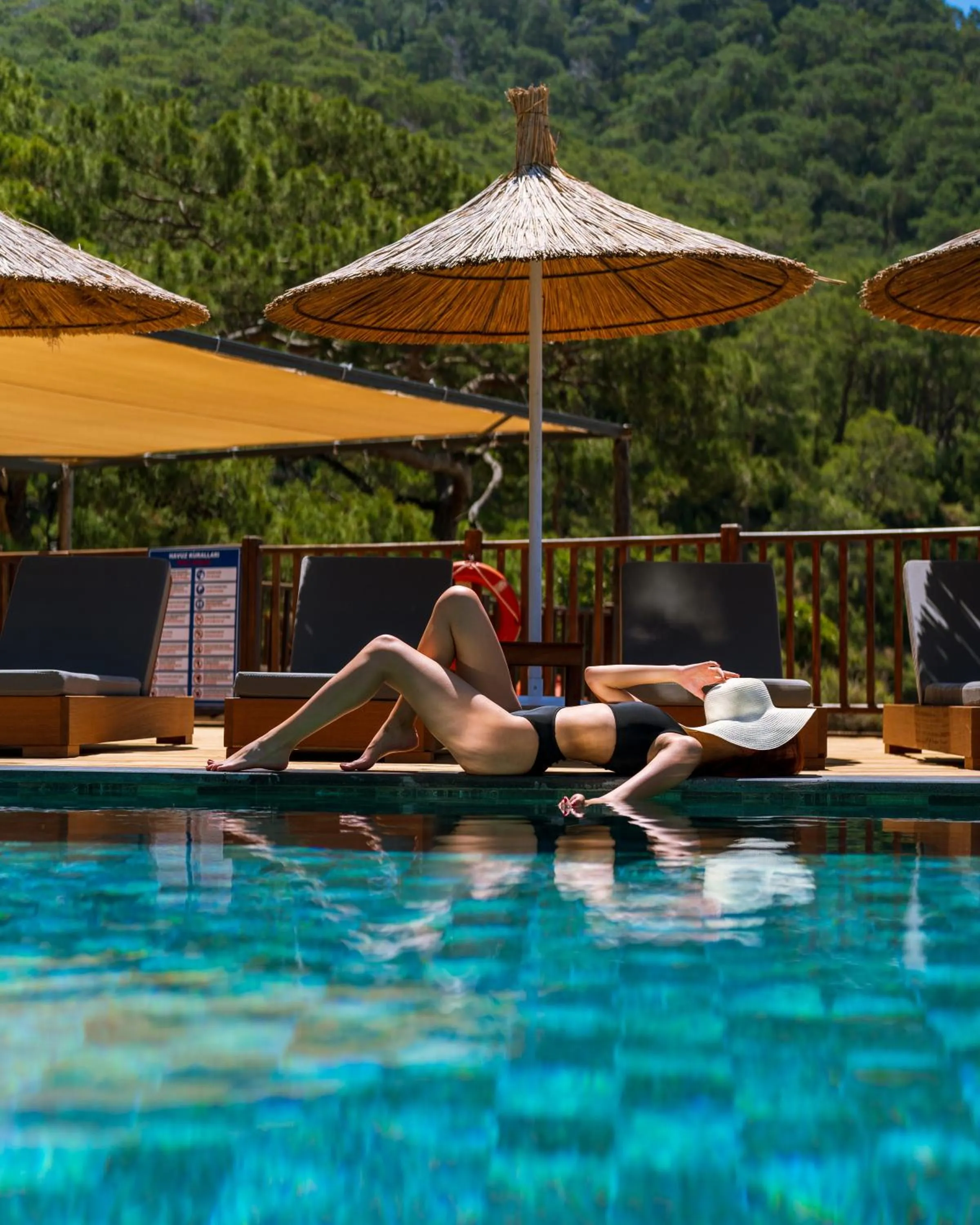 Summer in Sea Valley Lodge