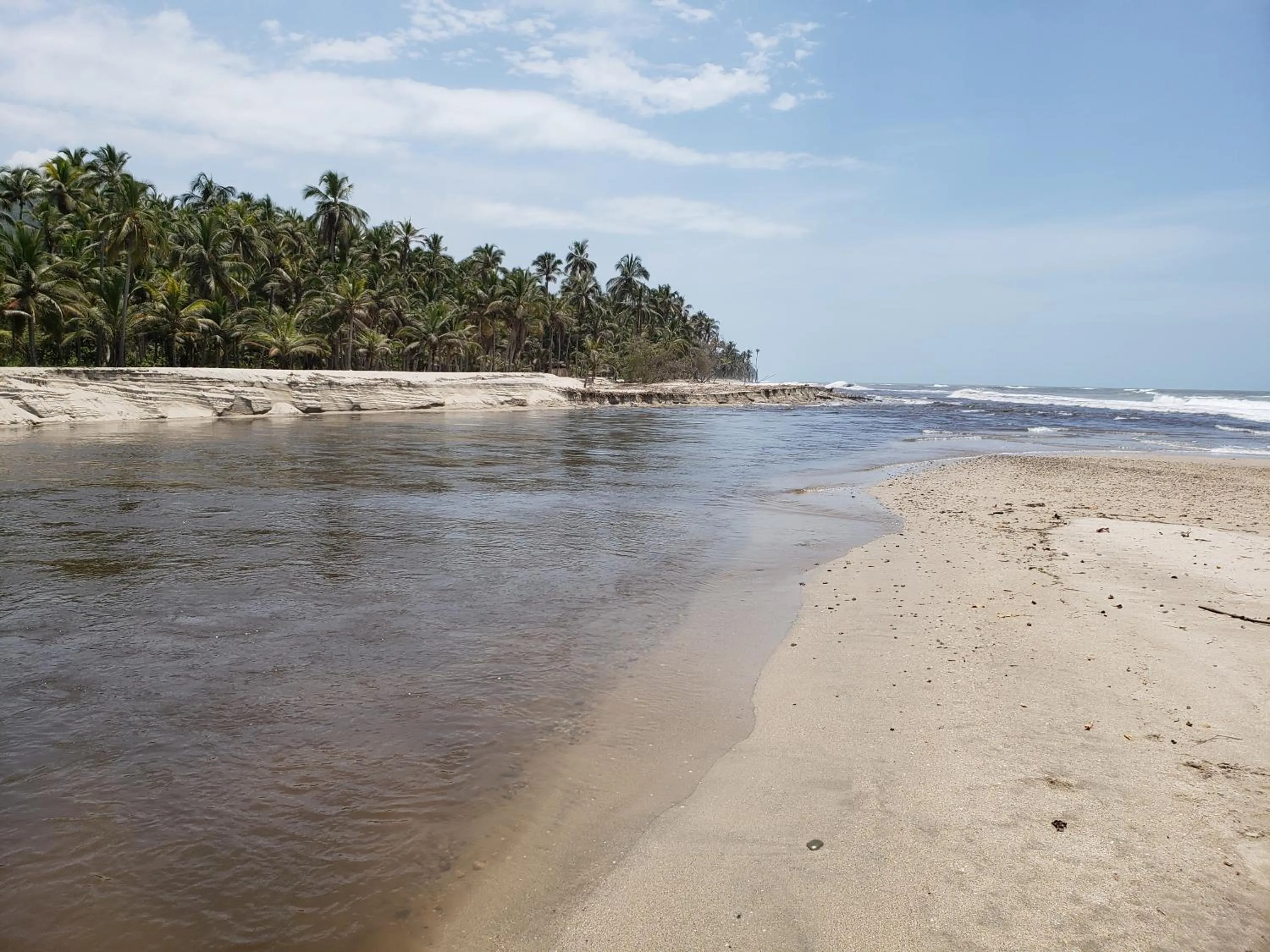 Indigo Palomino Beautiful House