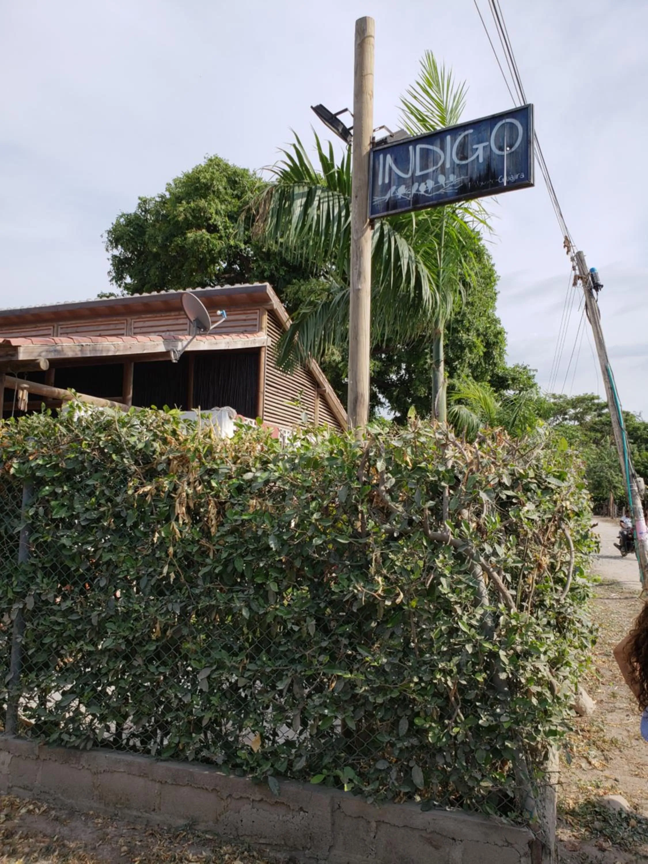 Indigo Palomino Beautiful House