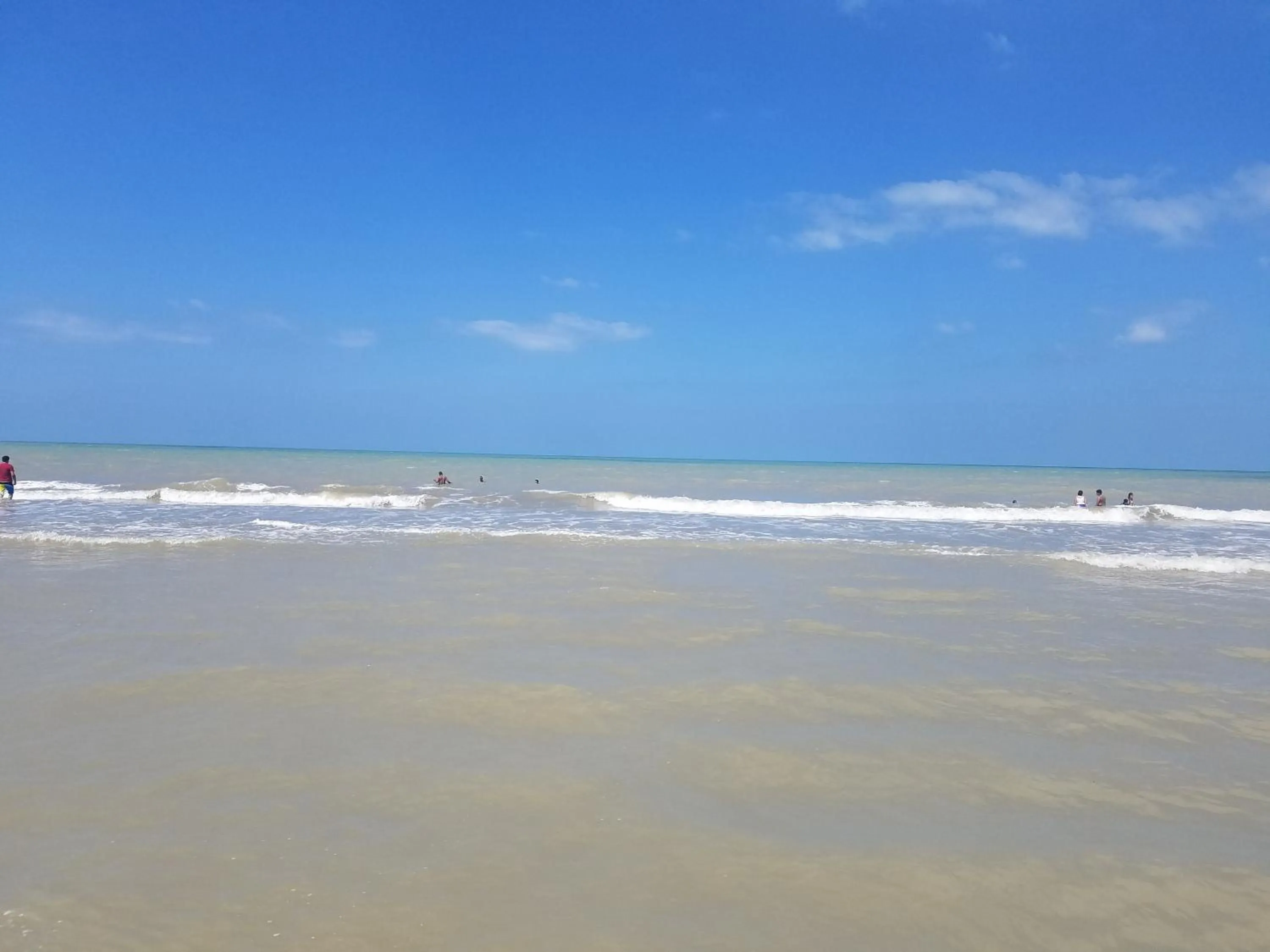 Indigo Palomino Beautiful House