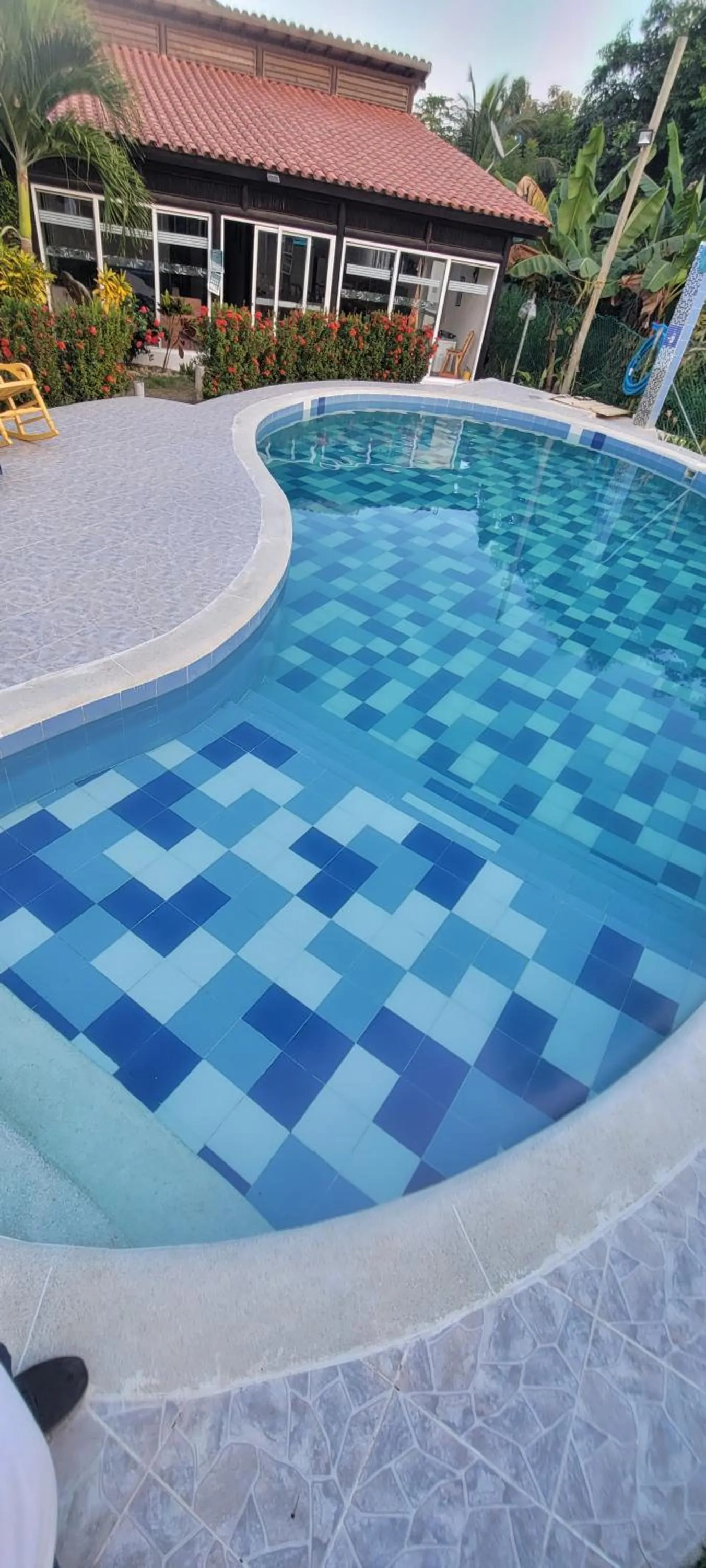 Indigo Palomino Beautiful House