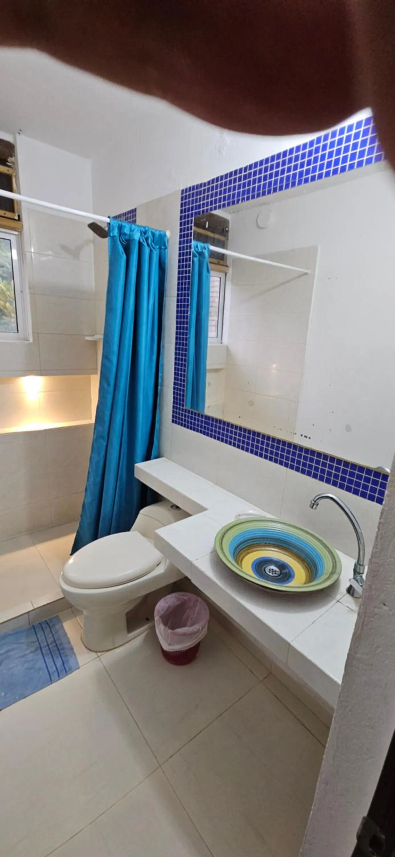 Indigo Palomino Beautiful House