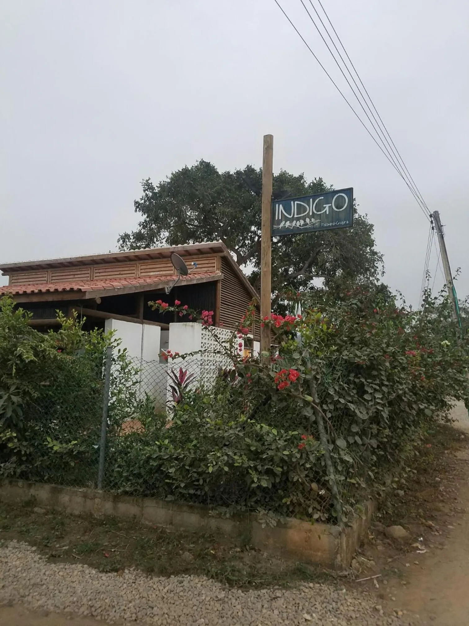 Indigo Palomino Beautiful House