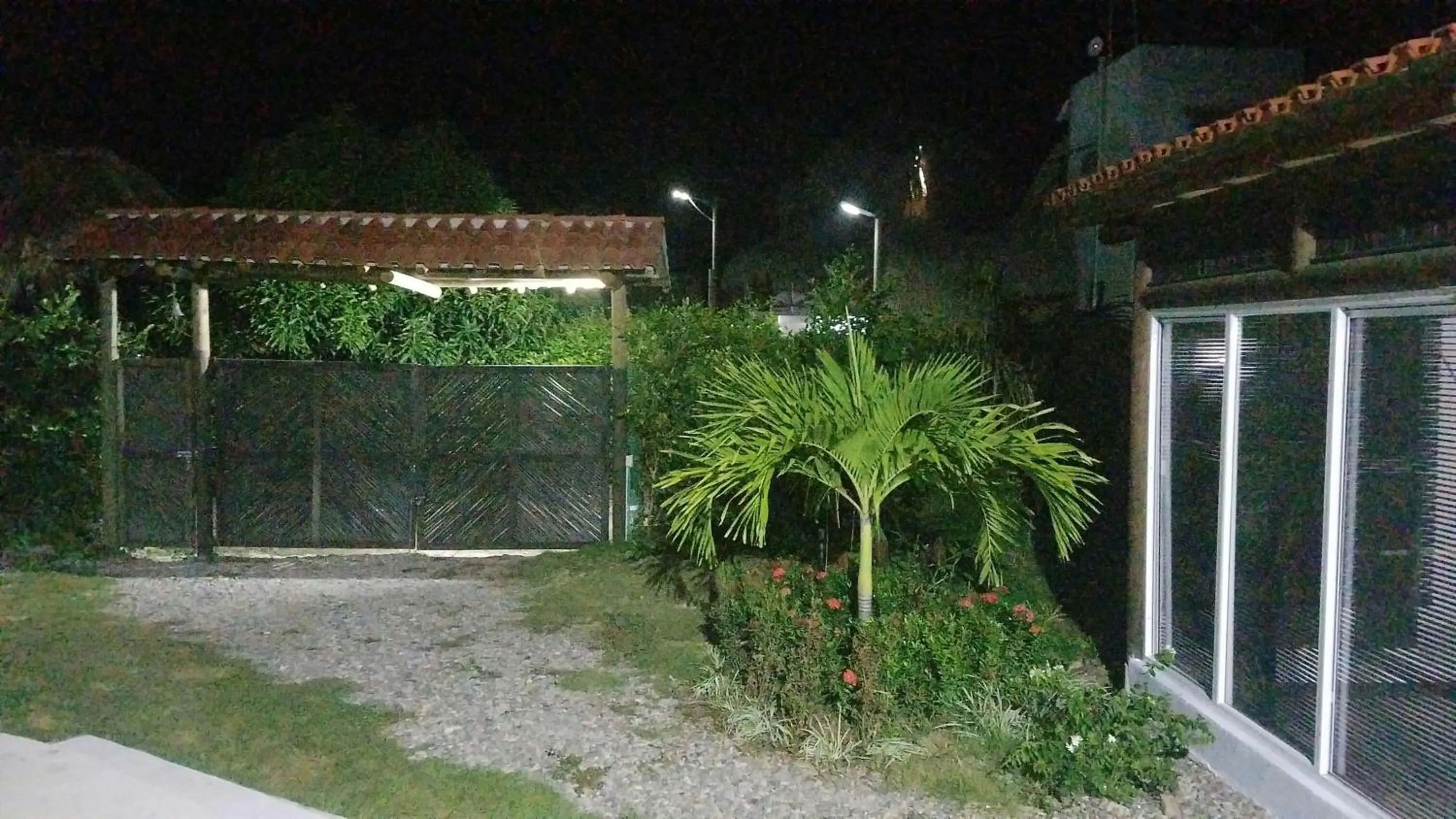 Indigo Palomino Beautiful House