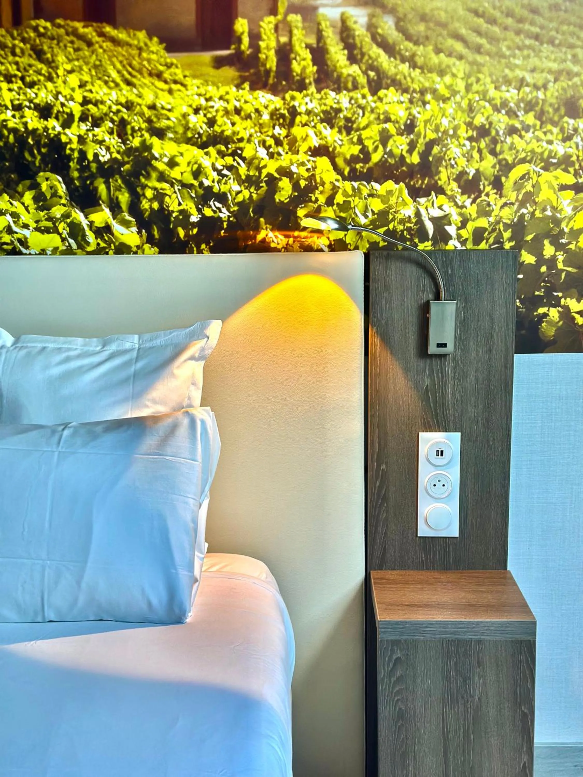 Bed in Best Western Hotel Ile de France