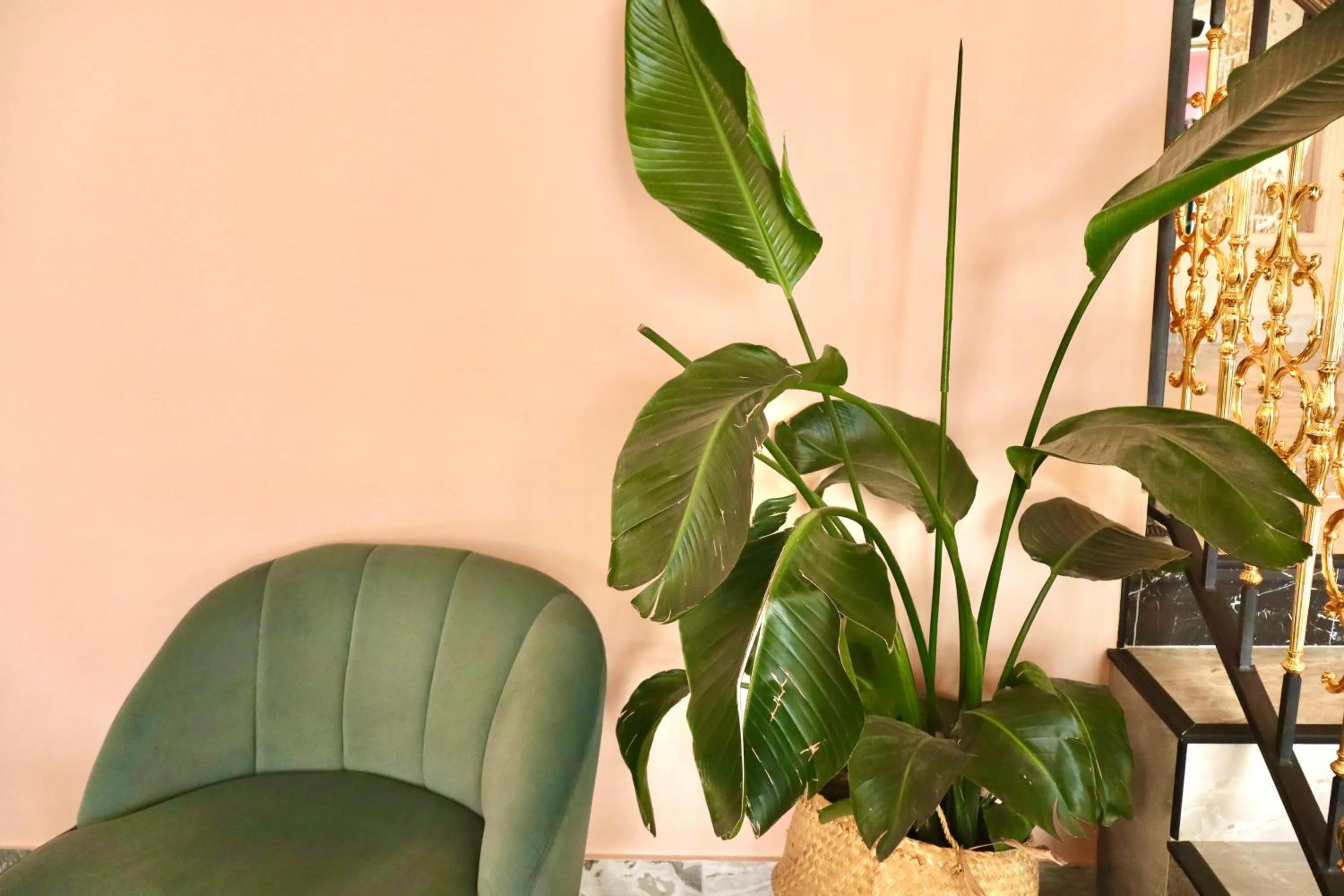 Best Western Hotel Ile de France