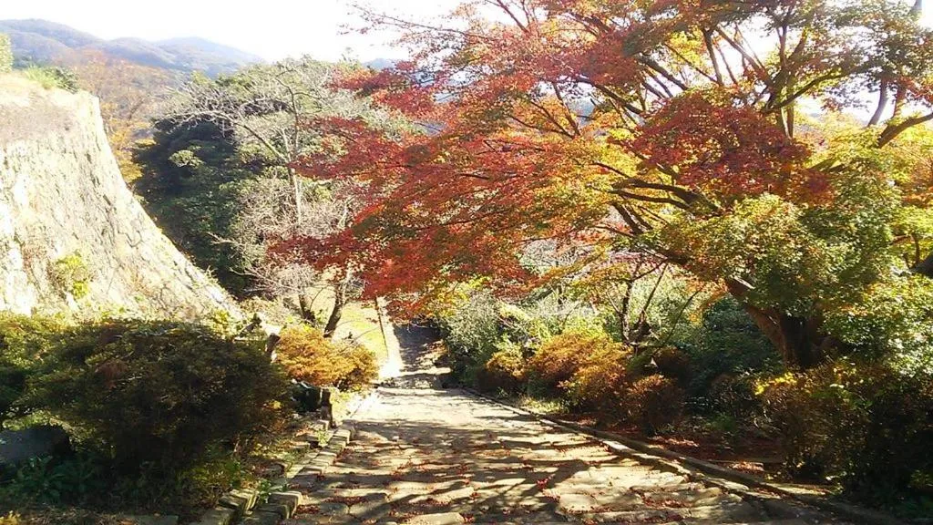 Hiking in Super Hotel Izumo Ekimae